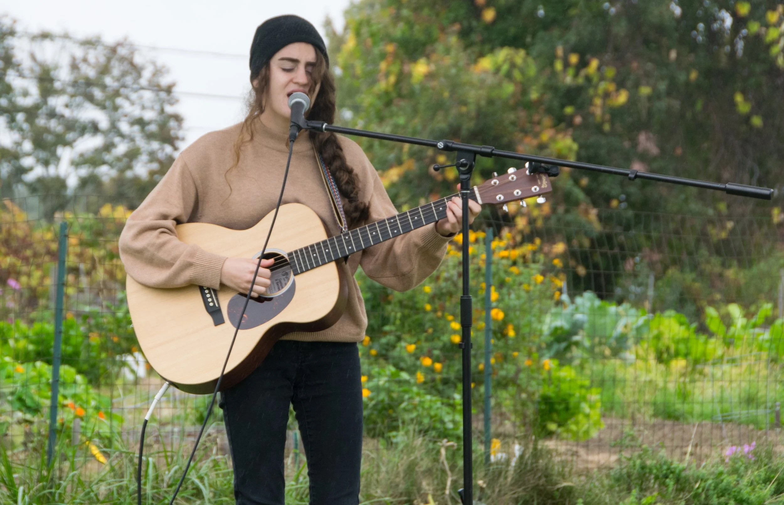 Live Solo Set at Perk Coffee House