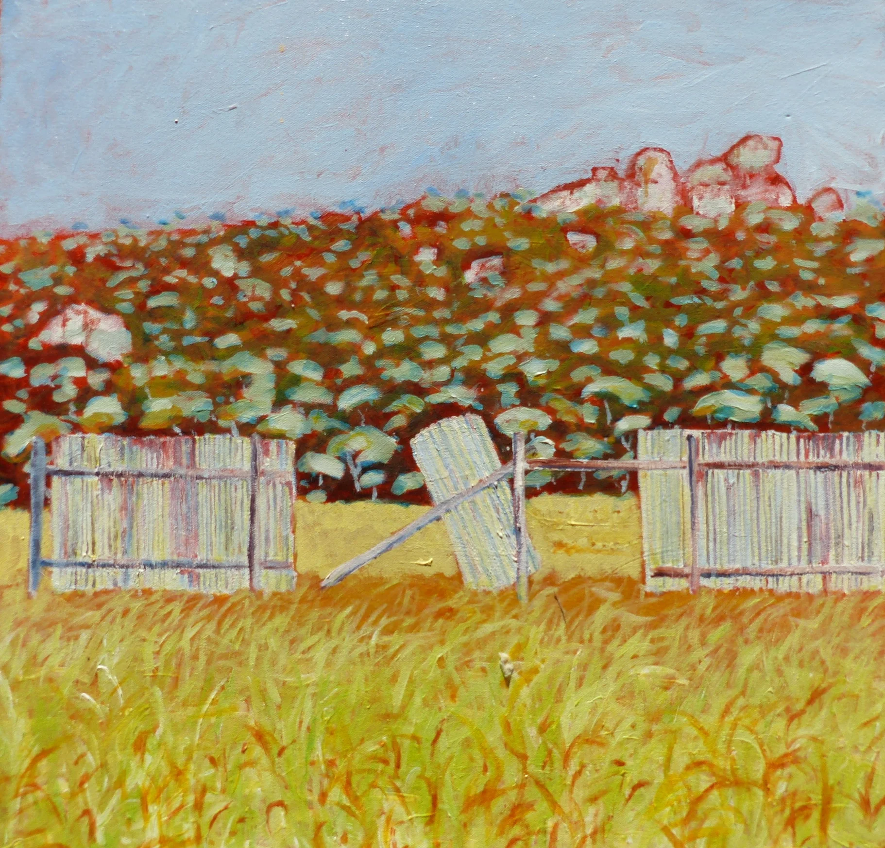 Evans Crown, Tarana NSW. 2008