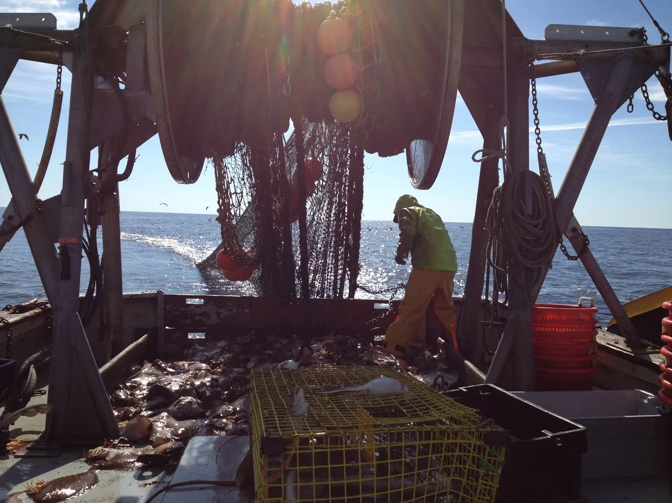 F/V: Joanna hauling flatfish
