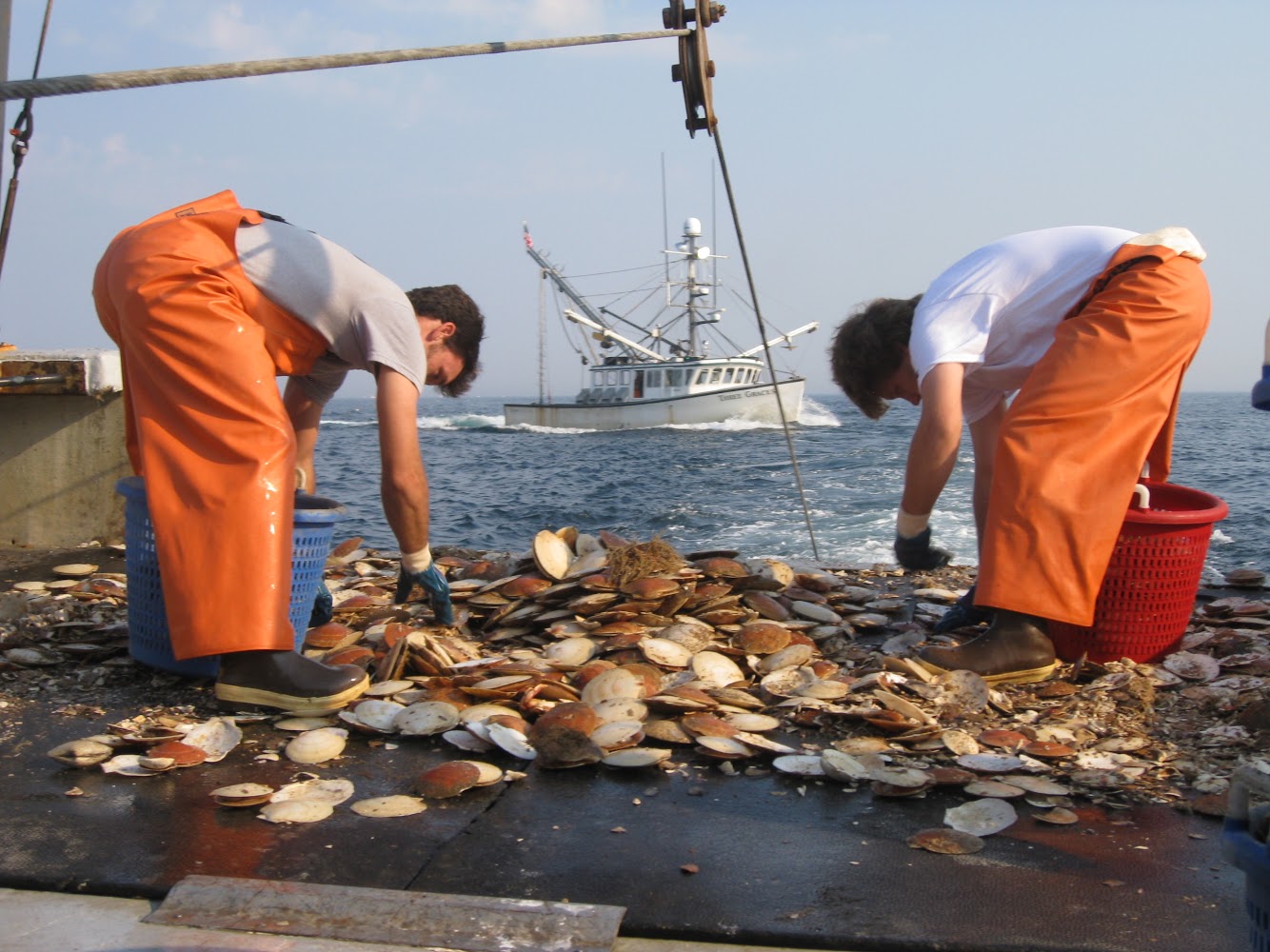 F/V: Bada Bing picking scallops