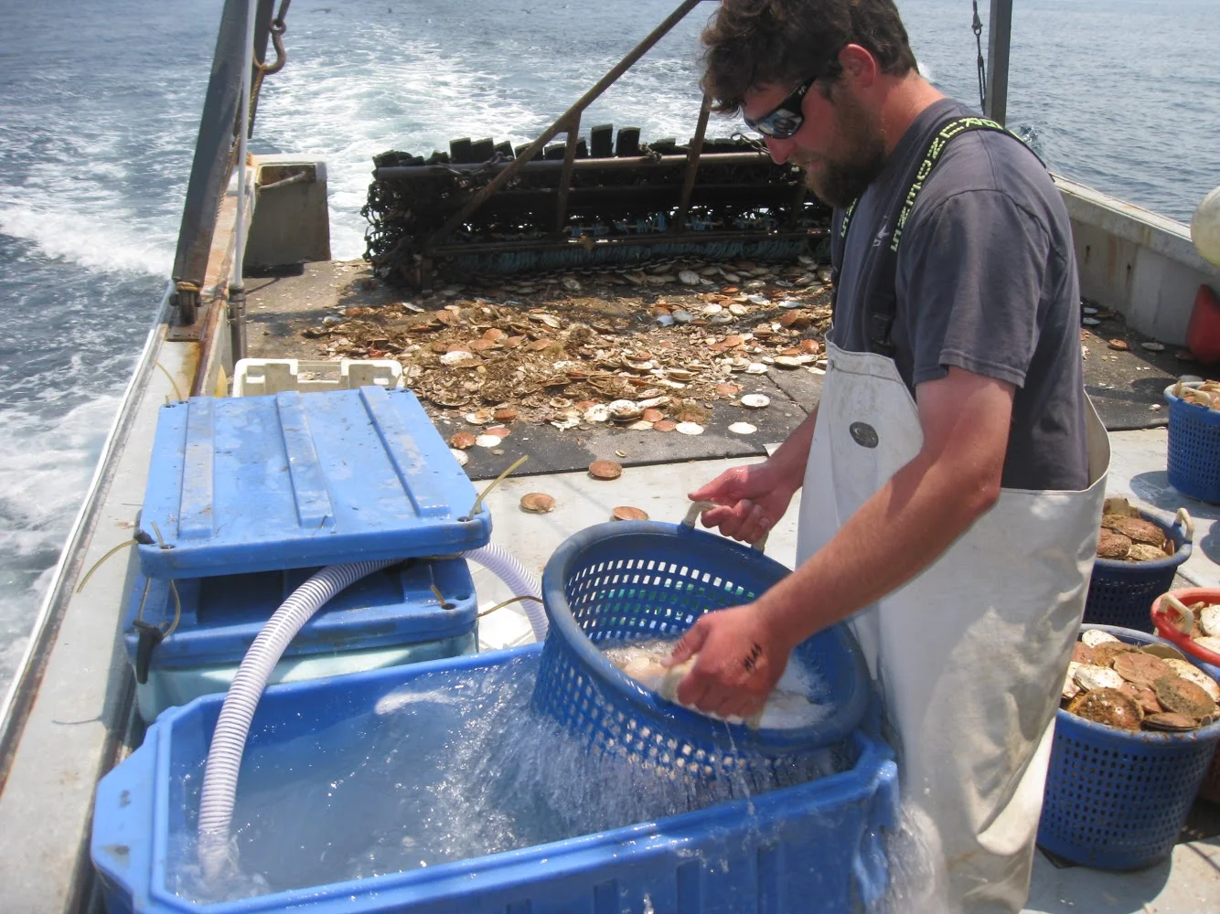 F/V: Bada Bing rinsing scallops