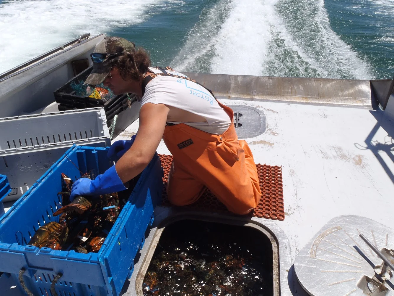 F/V: Time Bandit with lobsters in the hold