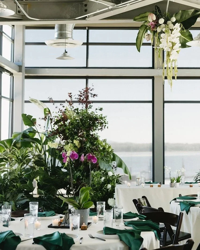 3 Simple Swaps for a Plastic-Free Celebration