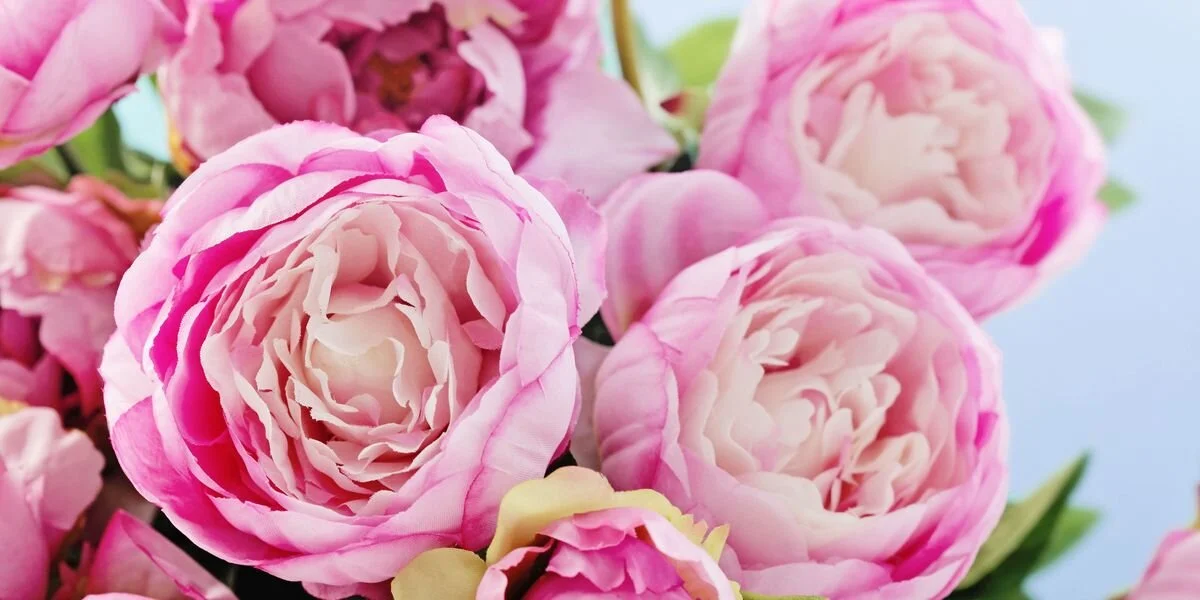 BrainSnac May Newsletter - Happy Mother's Day and Some Great News!