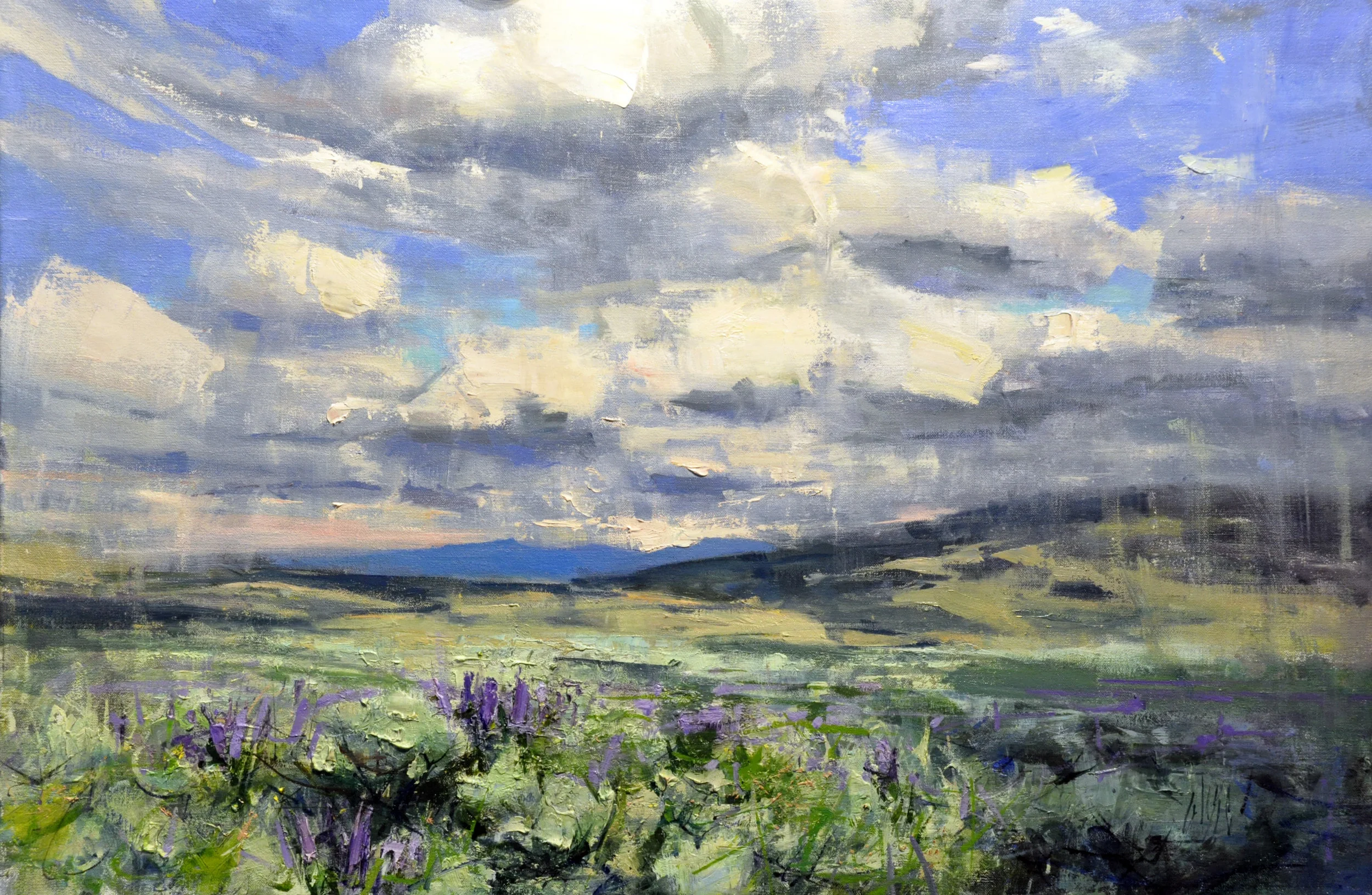 STORIES WOVEN INTO THE LAND: LANDSCAPES INSPIRED BY THE WEST