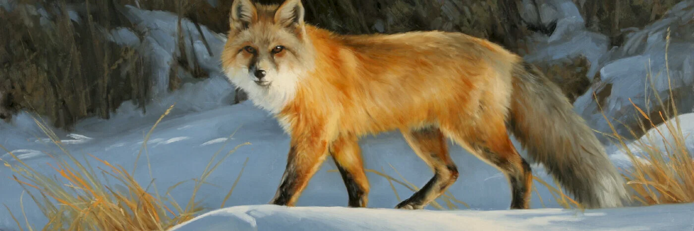 red+fox+in+the+snow+12x24-.jpg