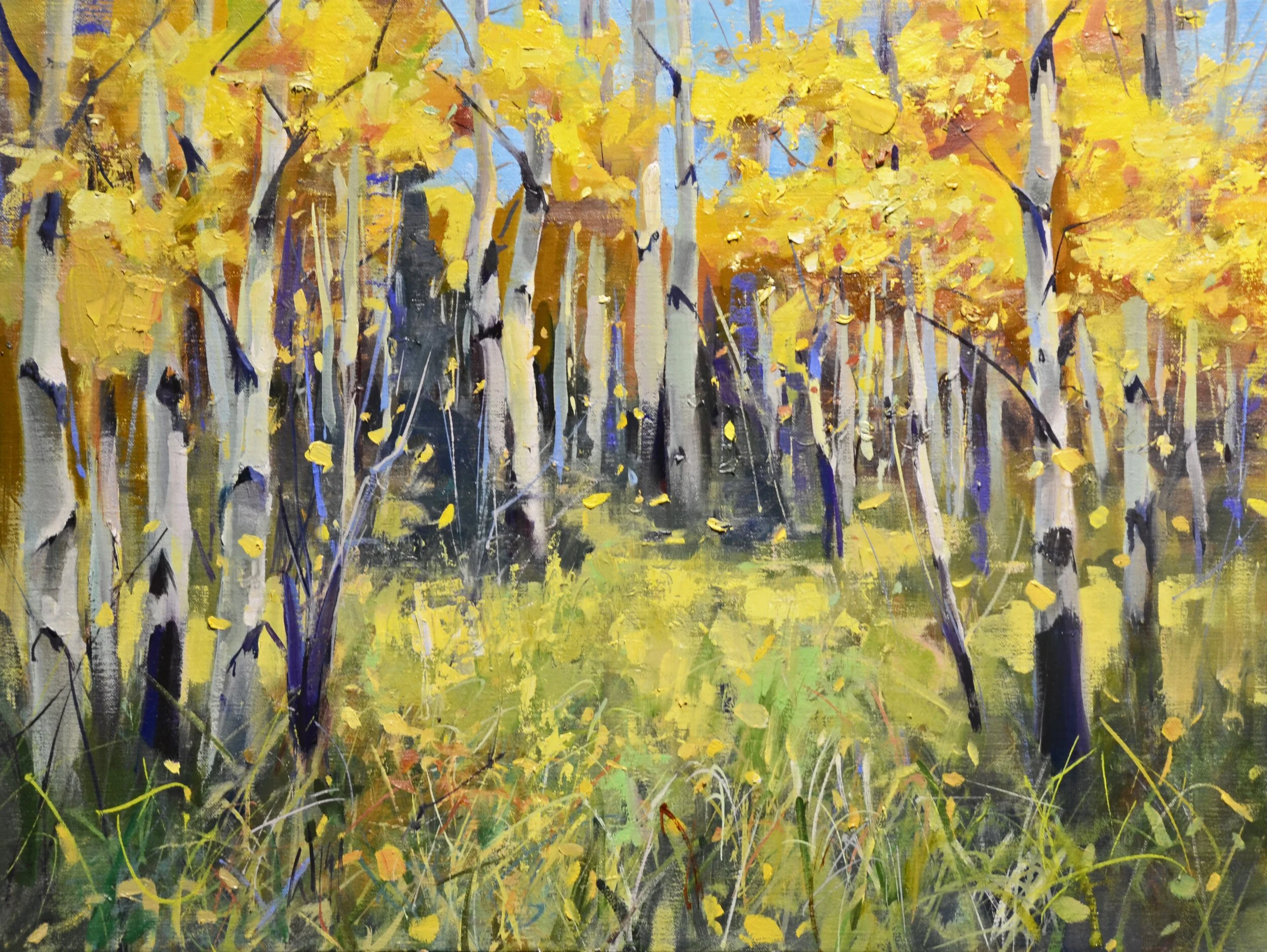 IMMERSED IN NATURE: EARTH, SKY, AND WATER