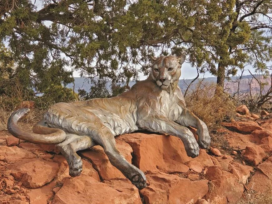 WONDERS GREAT &amp; SMALL | EXHIBITION