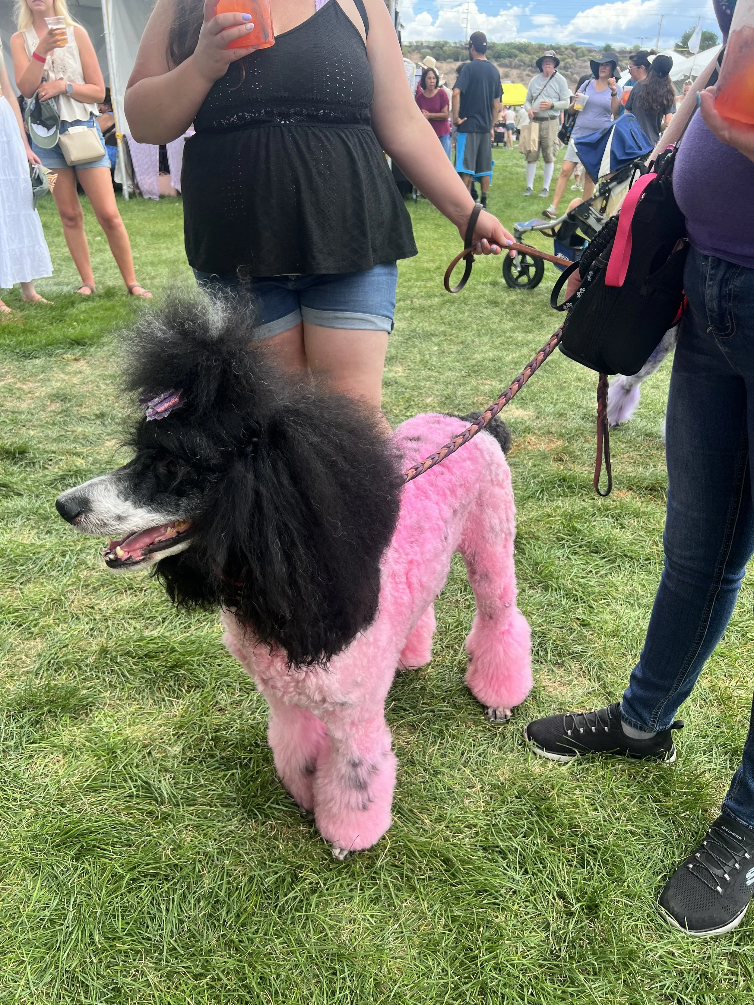 A special friend showing up at festival jewelry making classes in Albuquerque