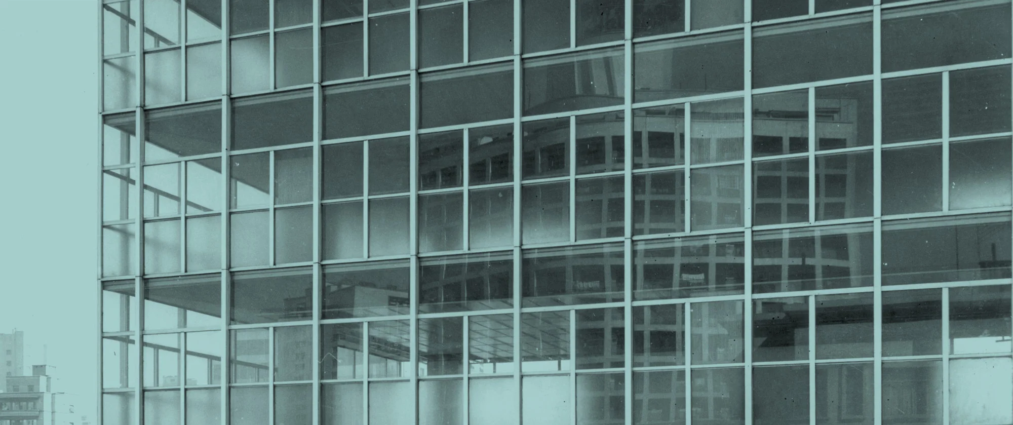 synopsis_banner_web.jpg