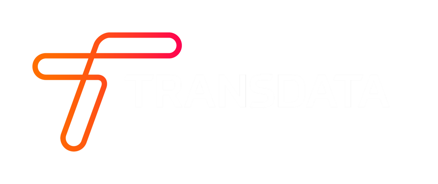 Transdata Logo