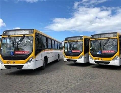 Grande Recife reforça operação dos ônibus na retomada das atividades