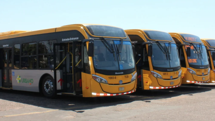 Empresas de ônibus de turismo começam a recuperar movimento