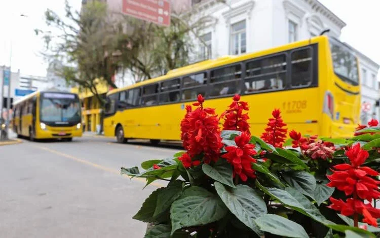 Se vier, socorro federal de R$ 17,4 milhões para ônibus em Joinville pode reduzir conta da prefeitura