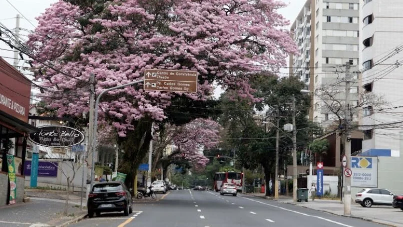Avenida Júlio de Mesquita terá faixa exclusiva para ônibus em Campinas