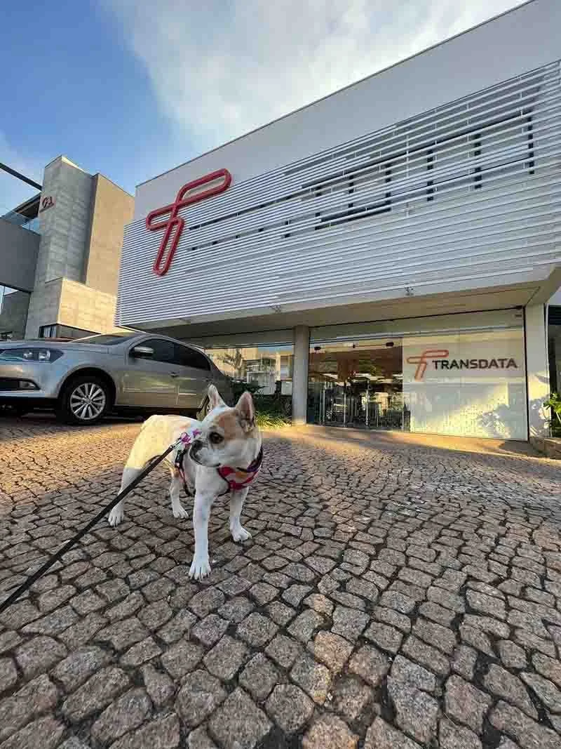 Transdata promove o 1º Pet Day