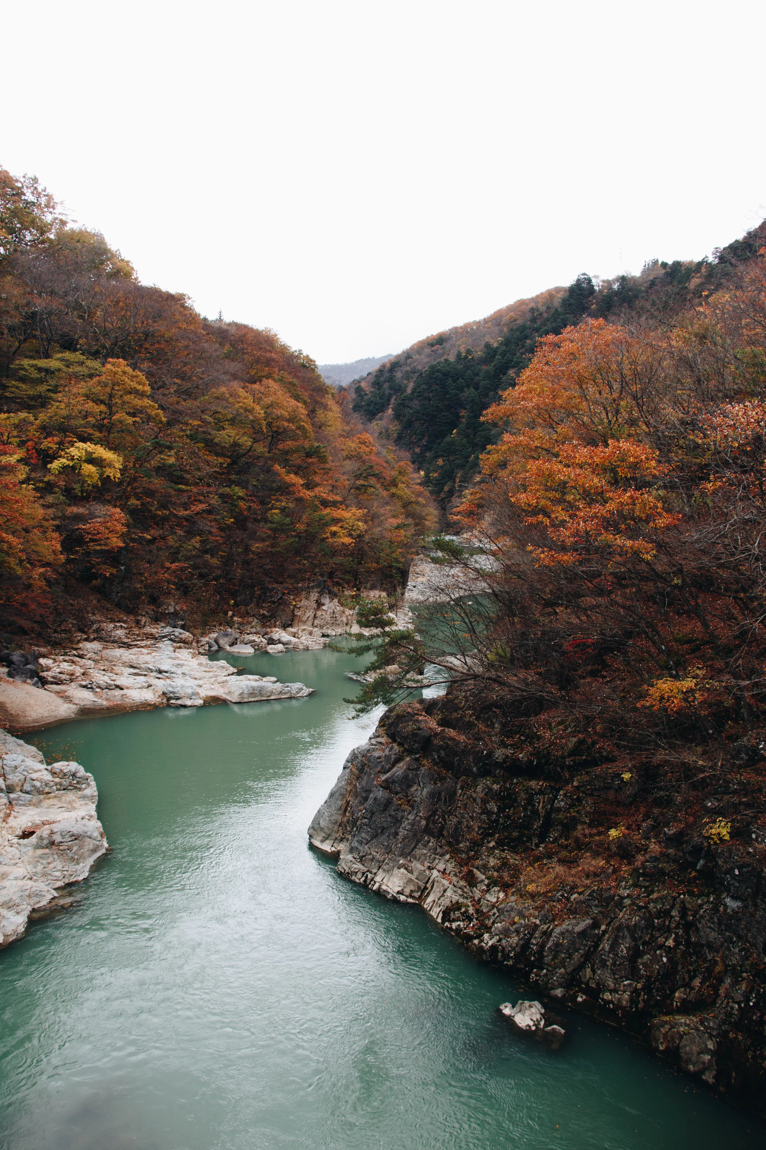 20181112-IMG_5649.jpg
