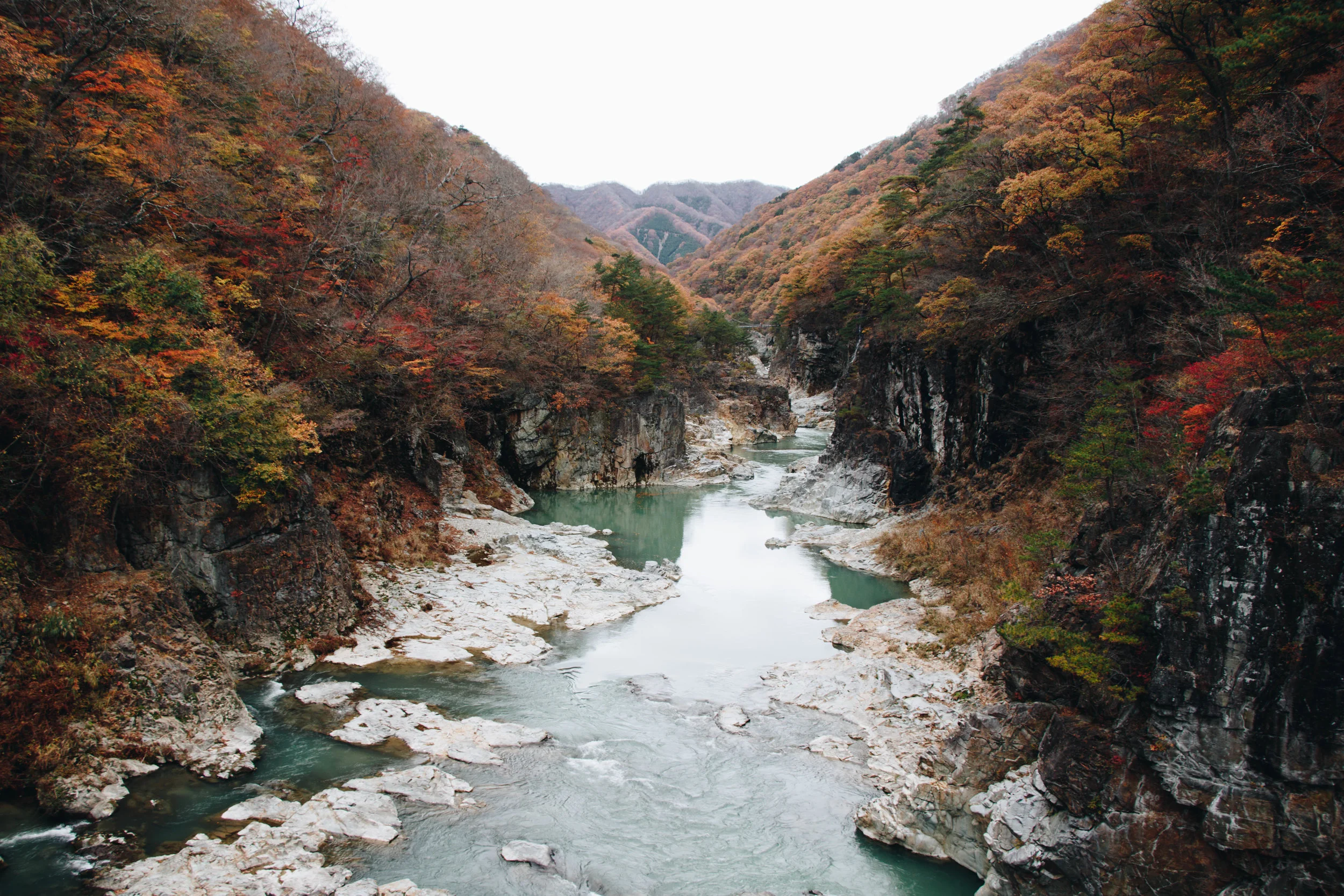 20181112-IMG_5651.jpg