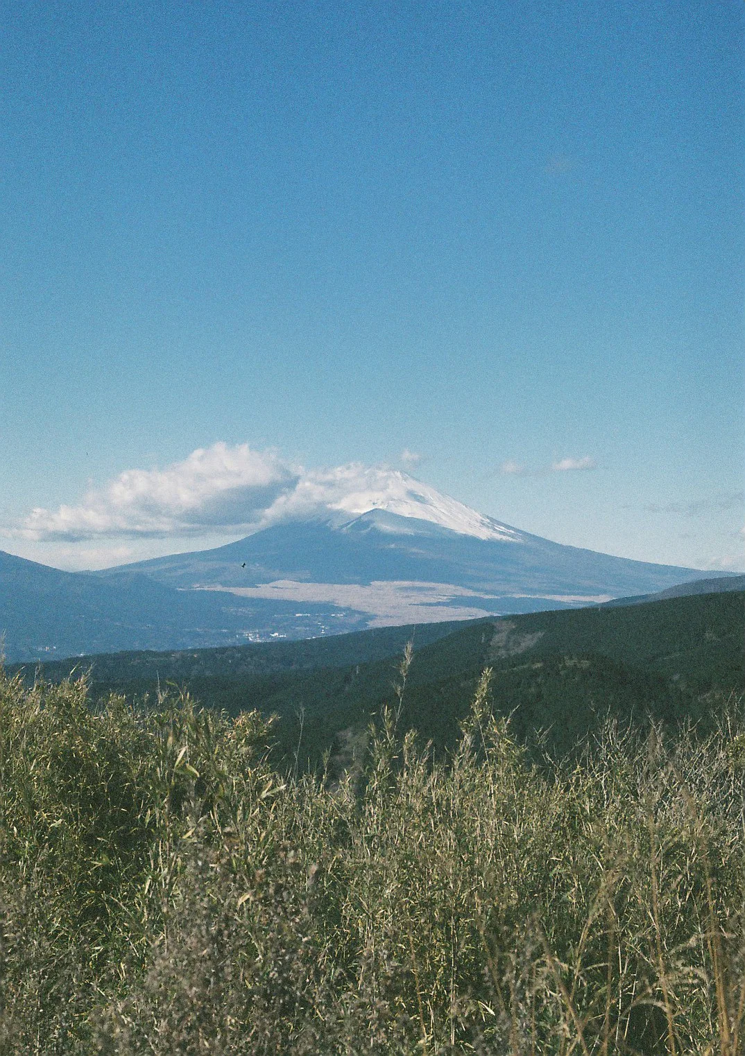 000014.JPG