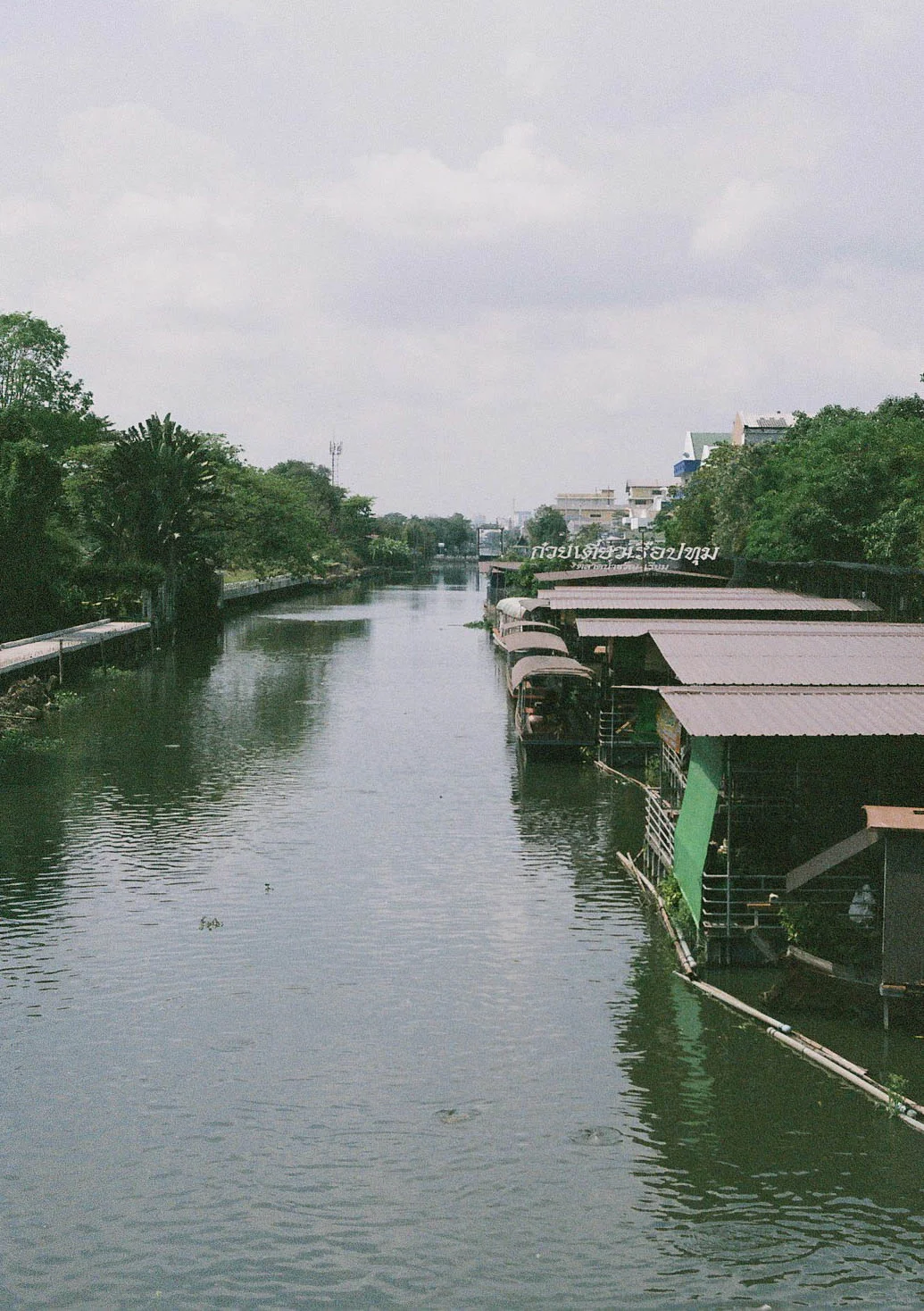 20190301-000021.jpg