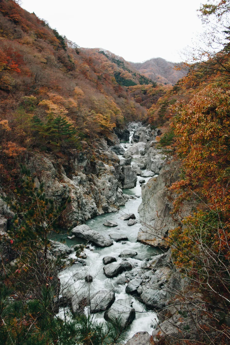 Nikko