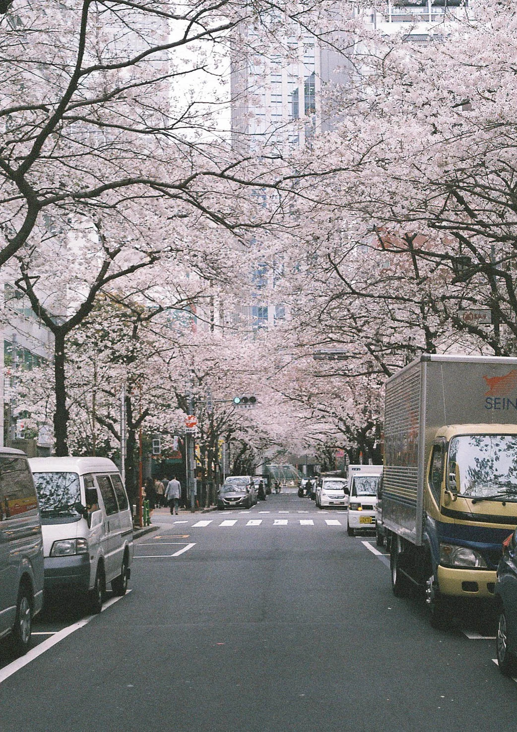 20190411-000012.jpg