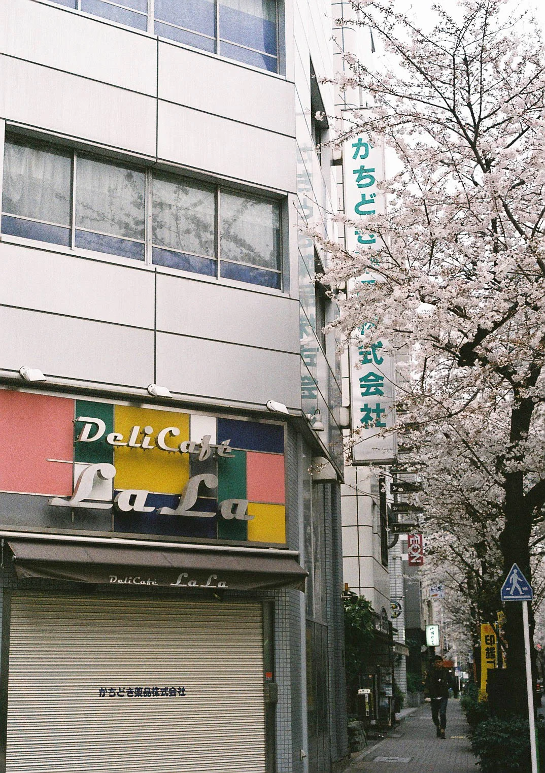20190411-000018.jpg
