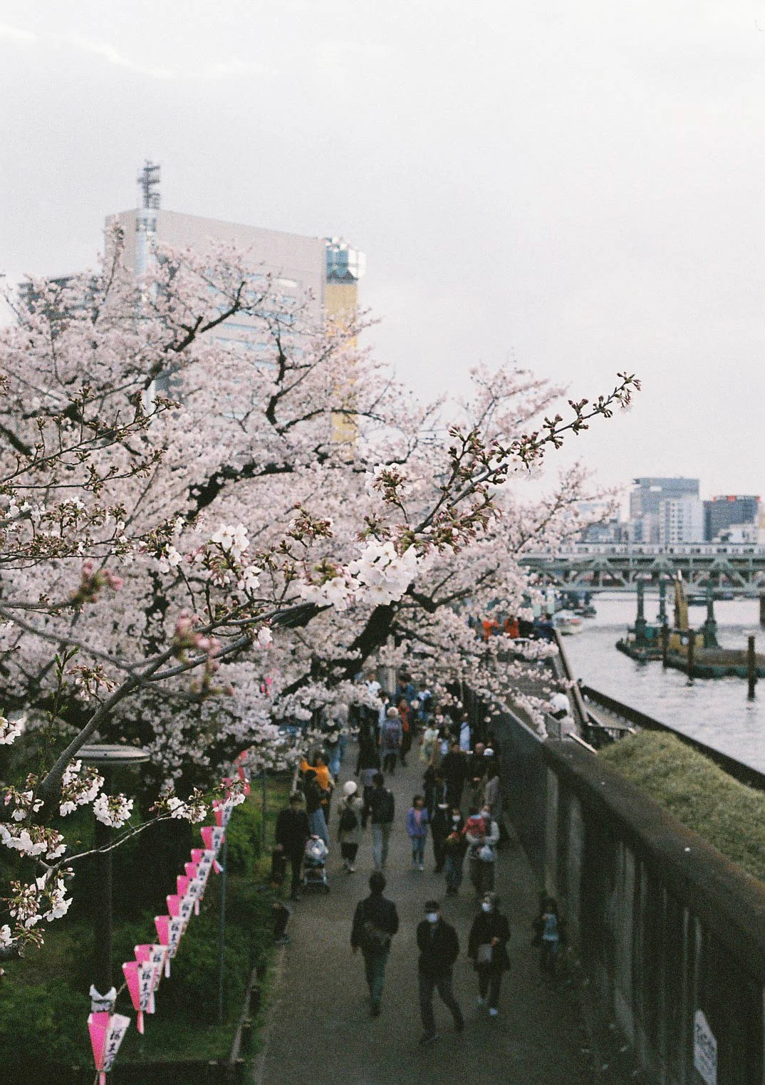 20190411-000028.jpg