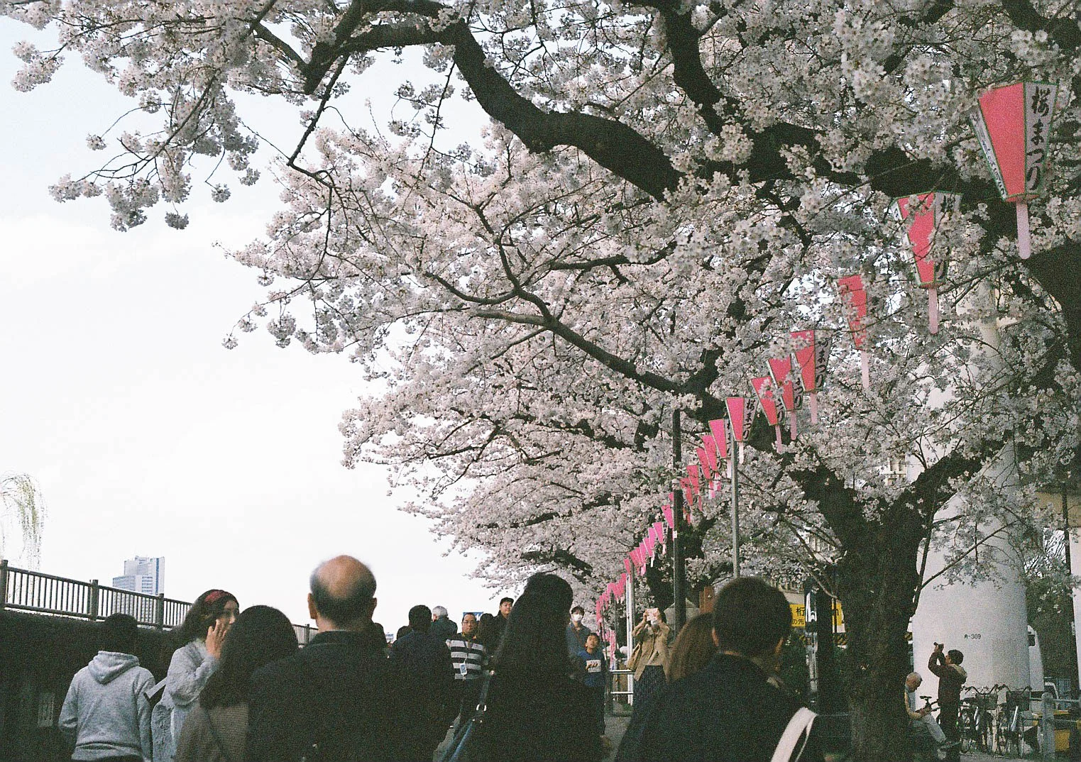 20190411-000027.jpg
