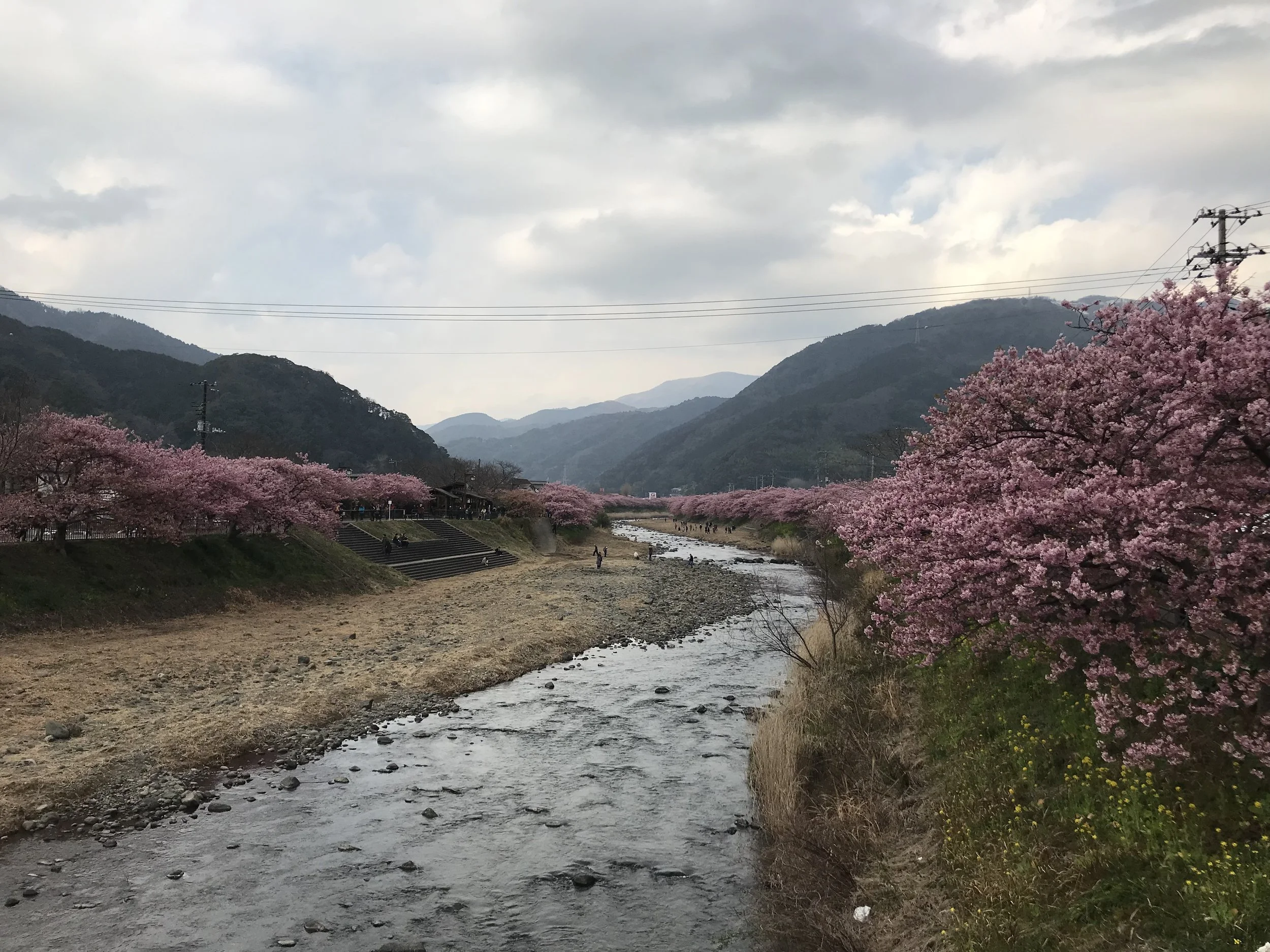IMG_7824.jpeg