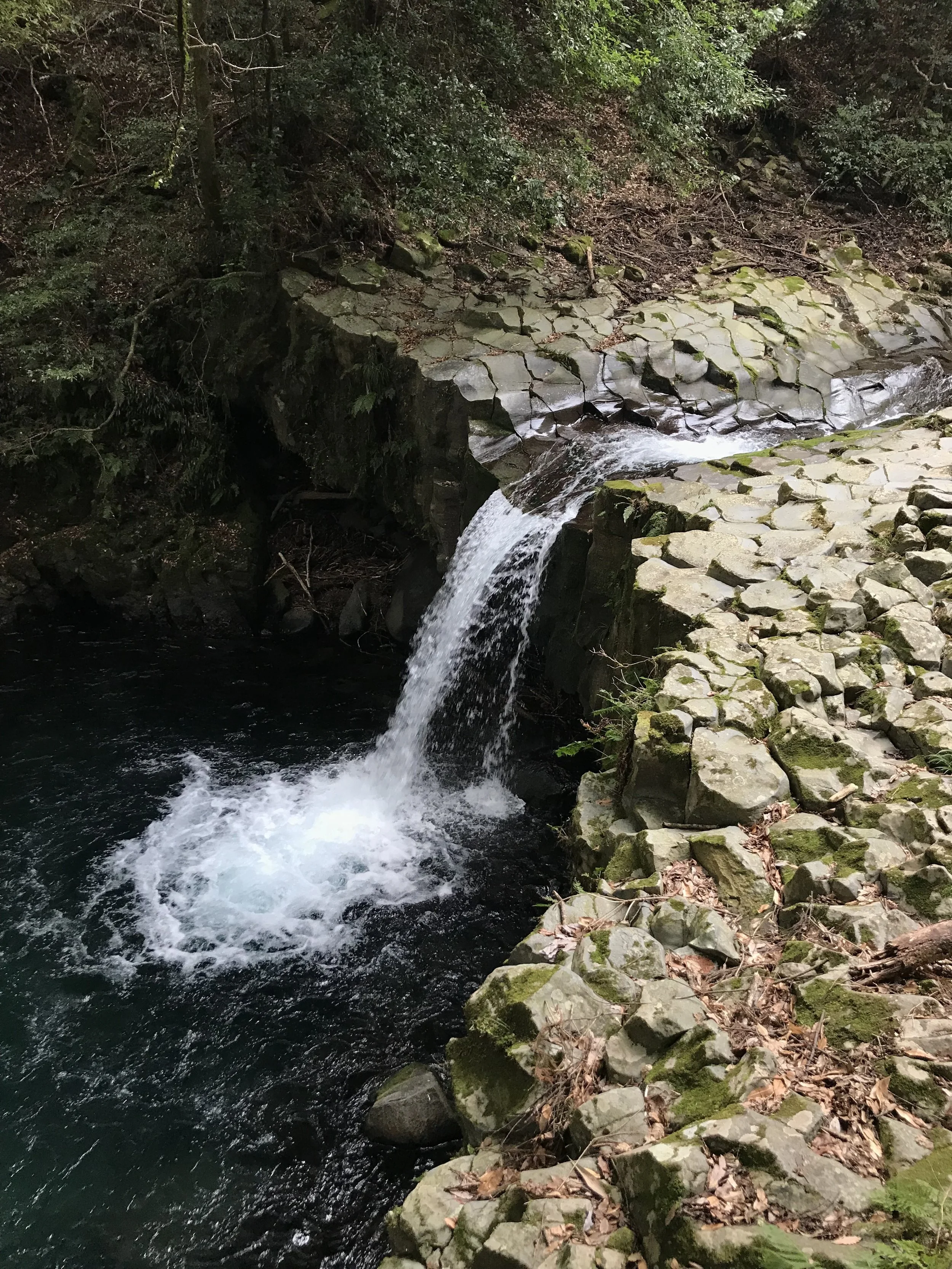 IMG_8196.jpeg