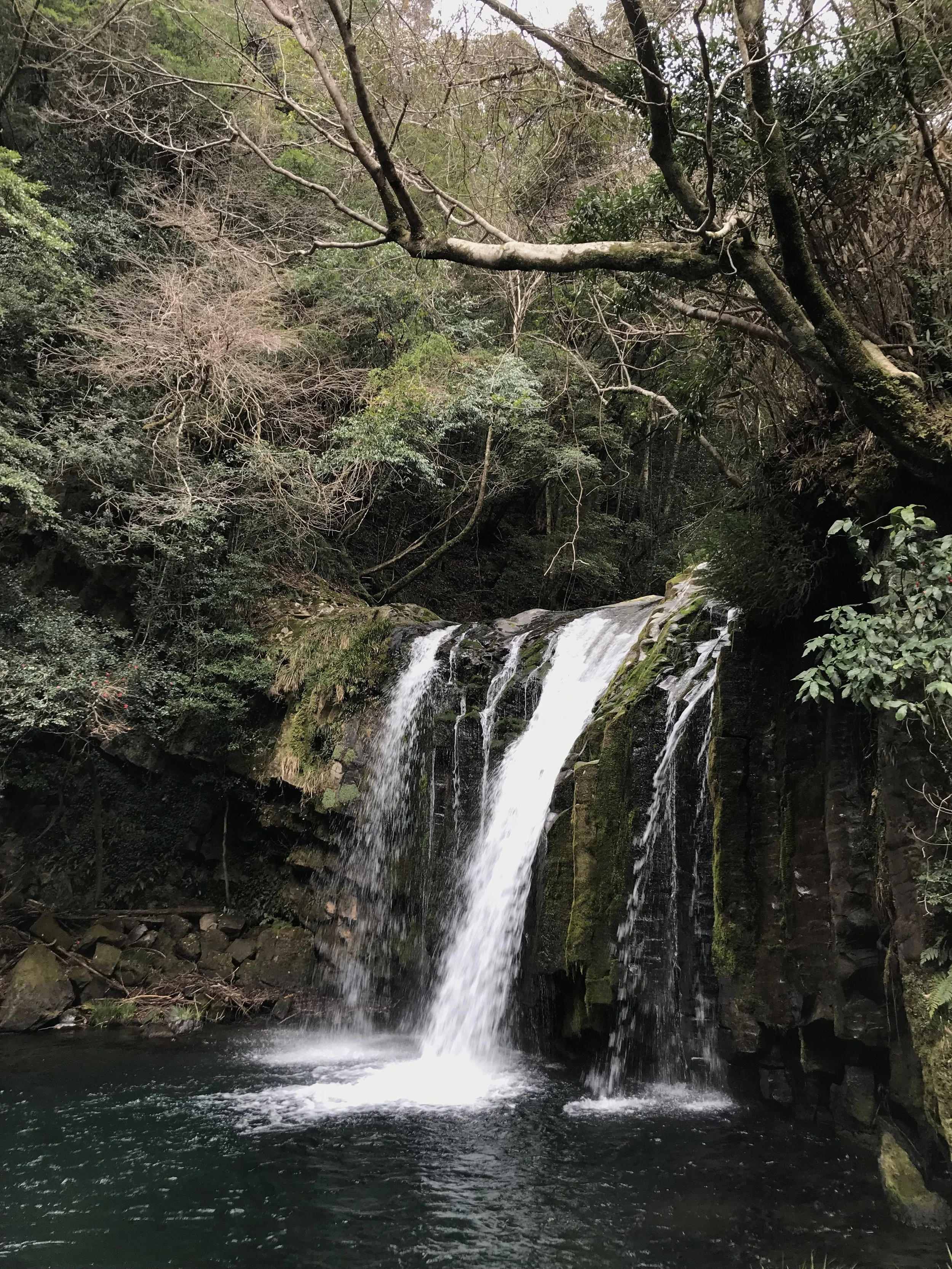 IMG_8199.jpeg