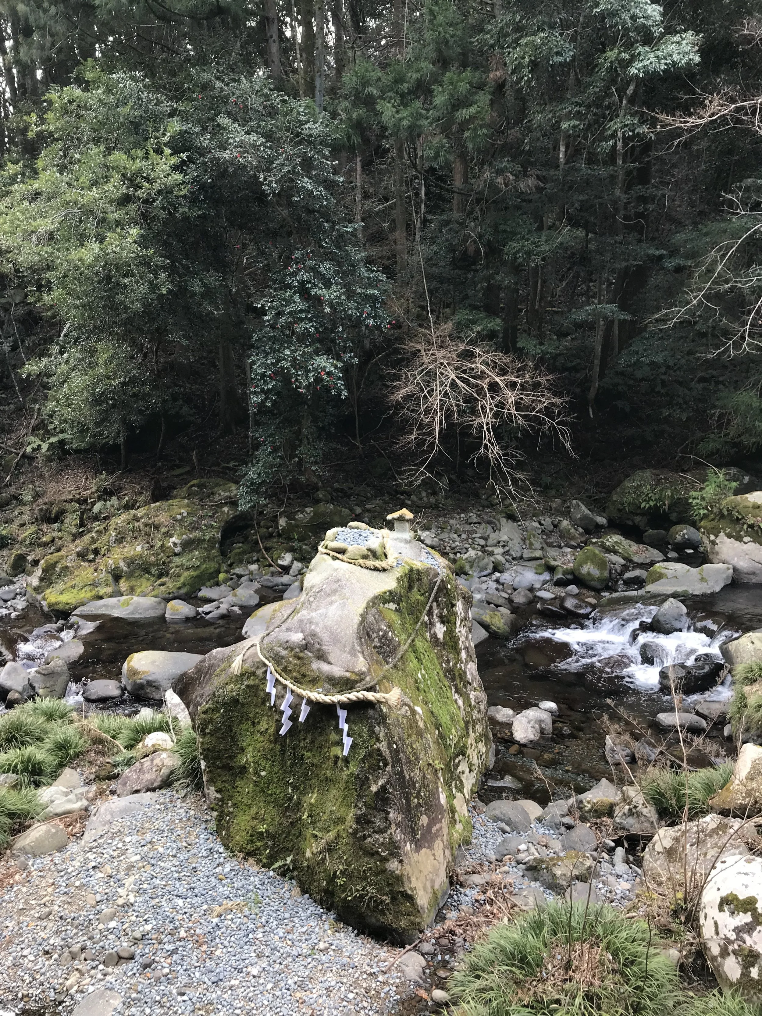 IMG_8201.jpeg