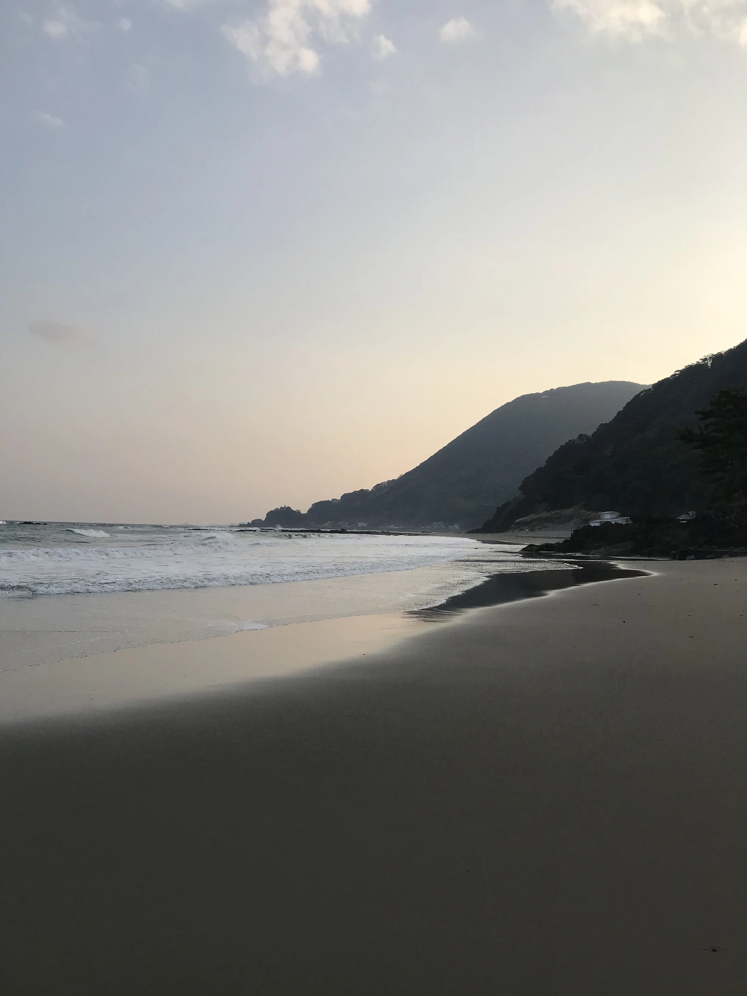IMG_8303.jpeg
