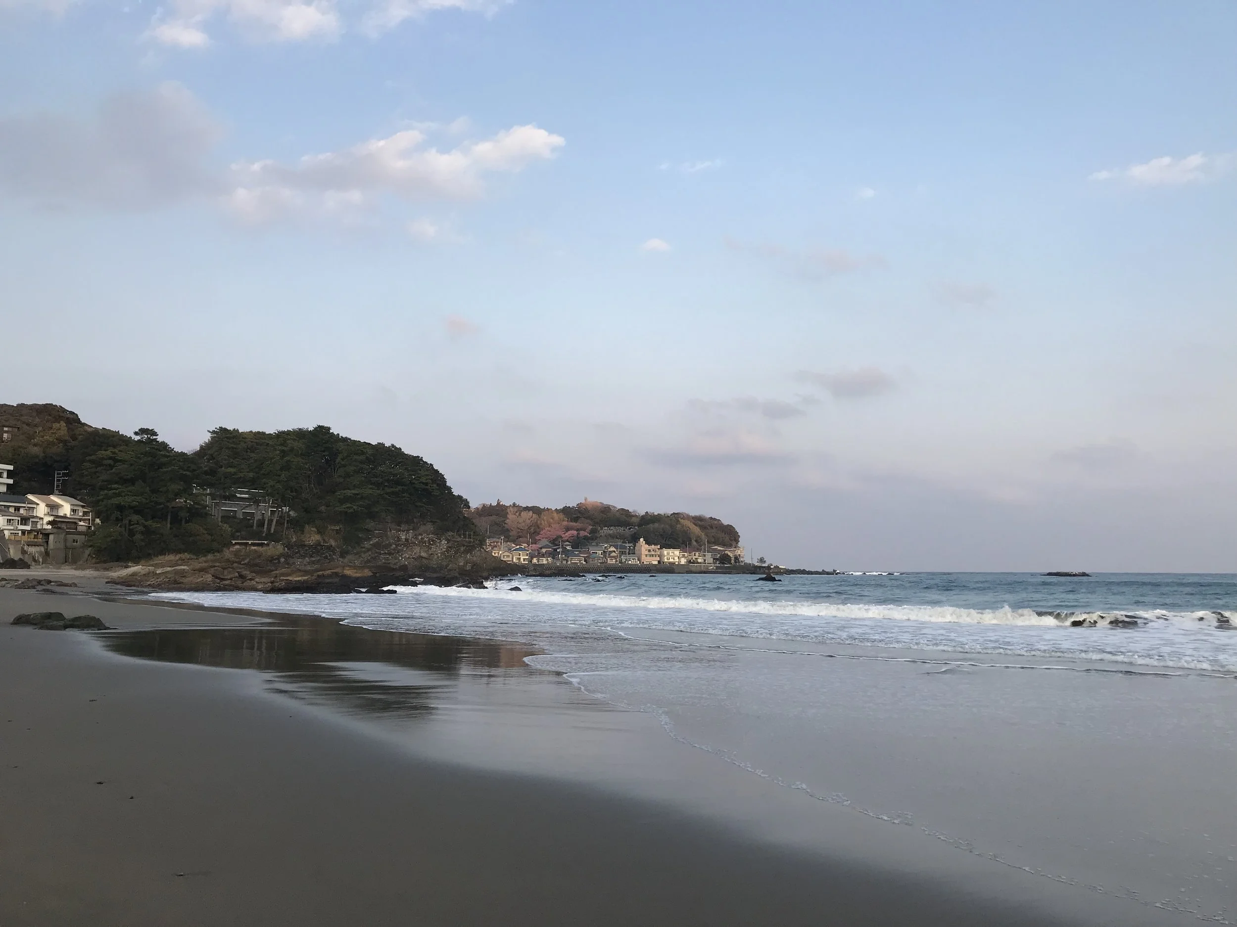 IMG_8308.jpeg