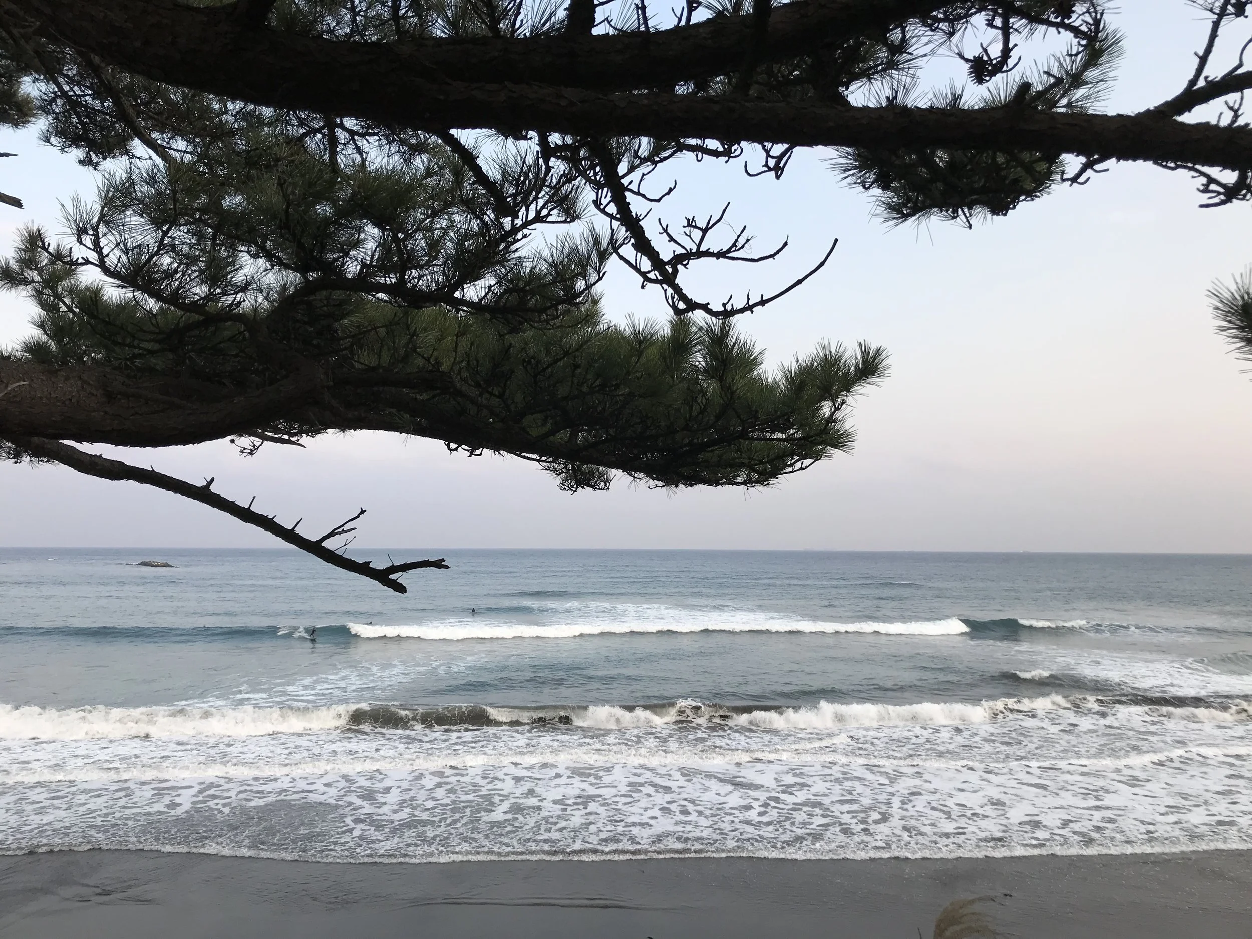 IMG_8315.jpeg