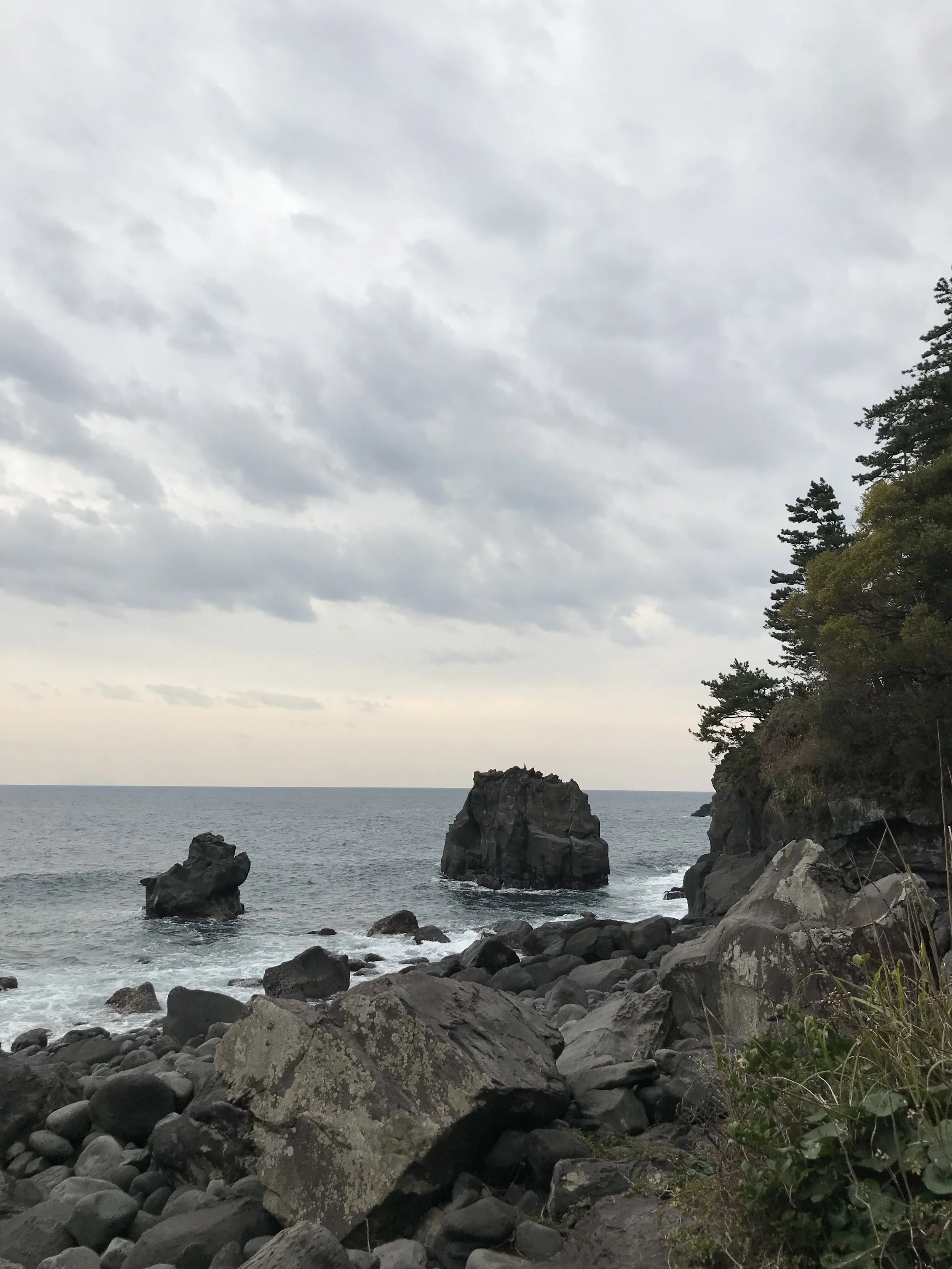 IMG_8471.jpeg