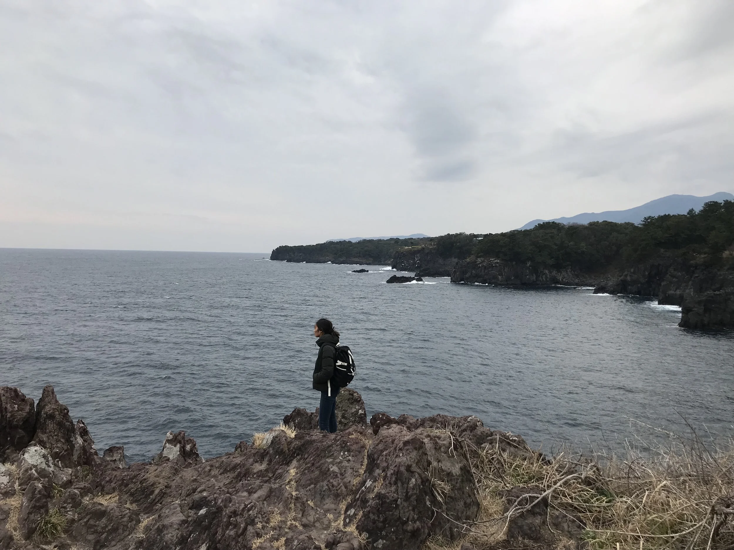 IMG_8474.jpeg