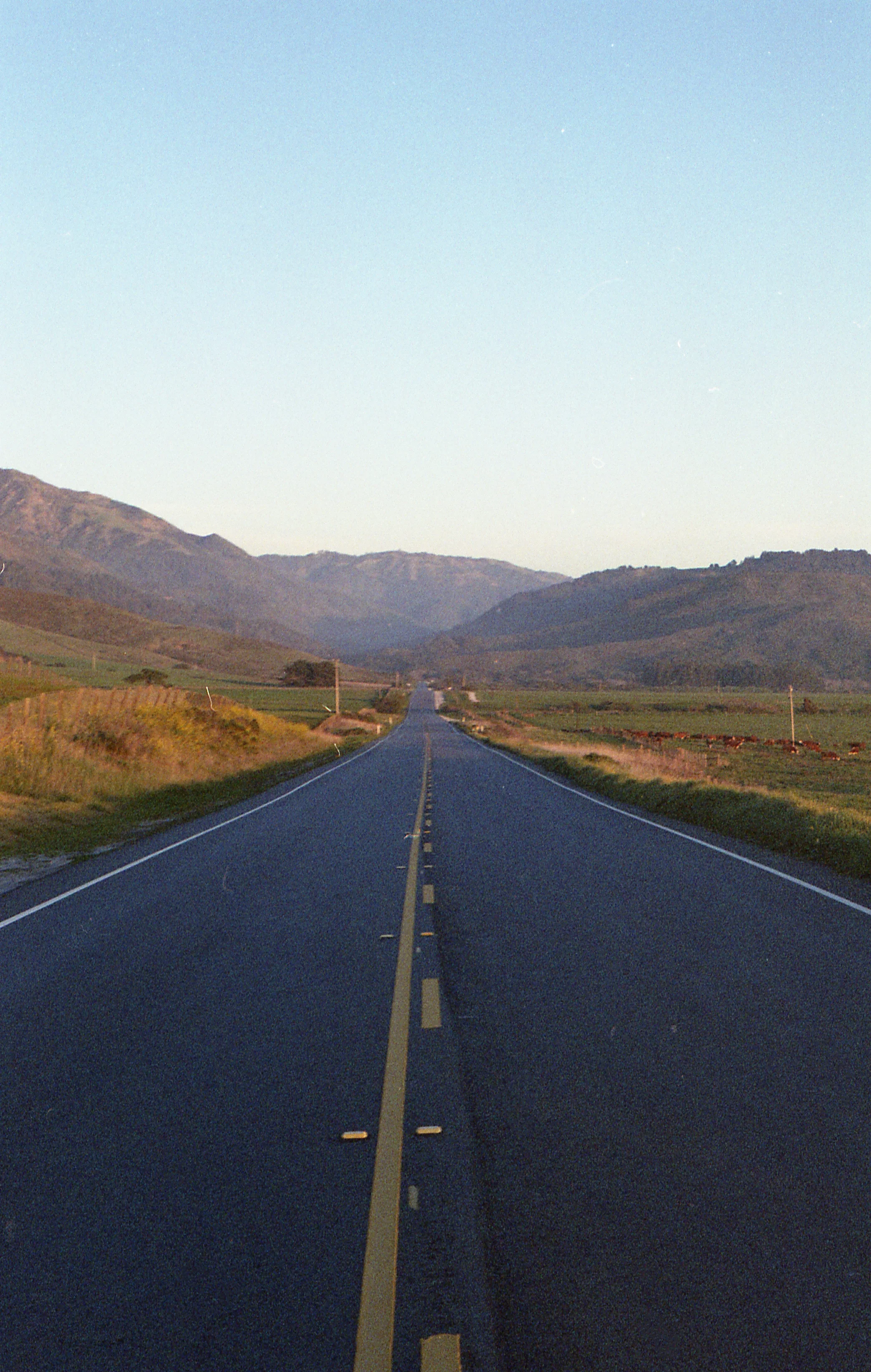 img124.jpg