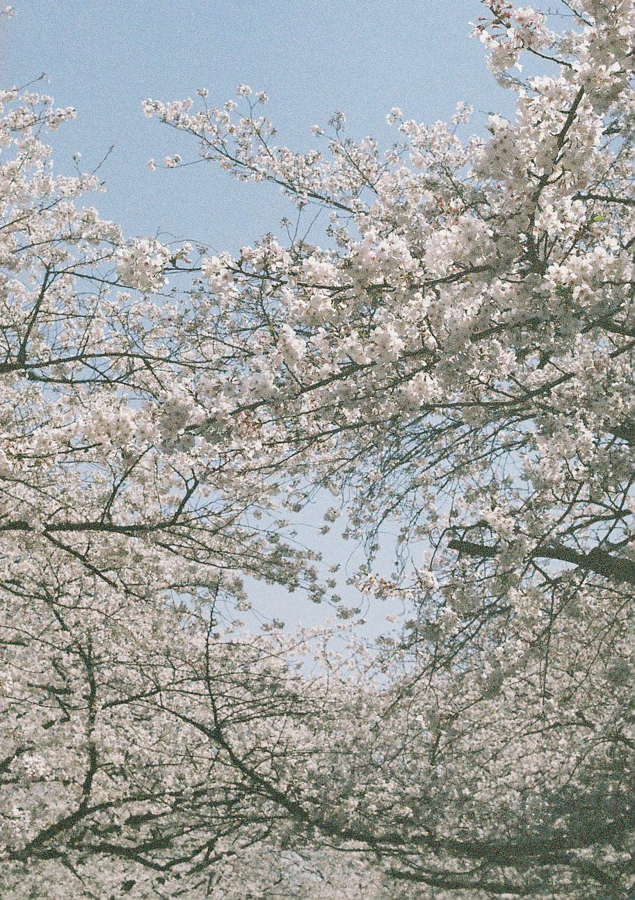20190430-000011.jpg