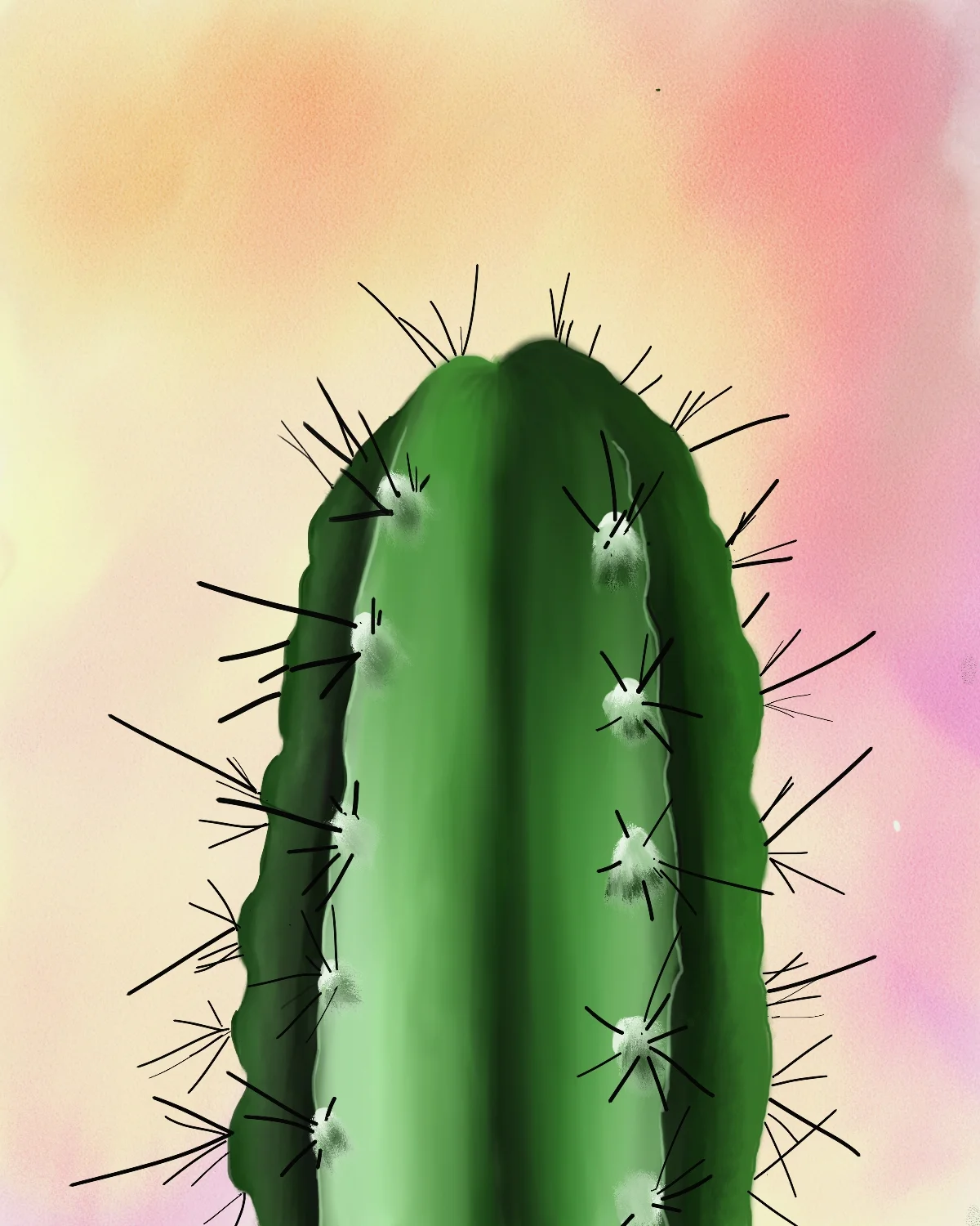 Cactus.jpg