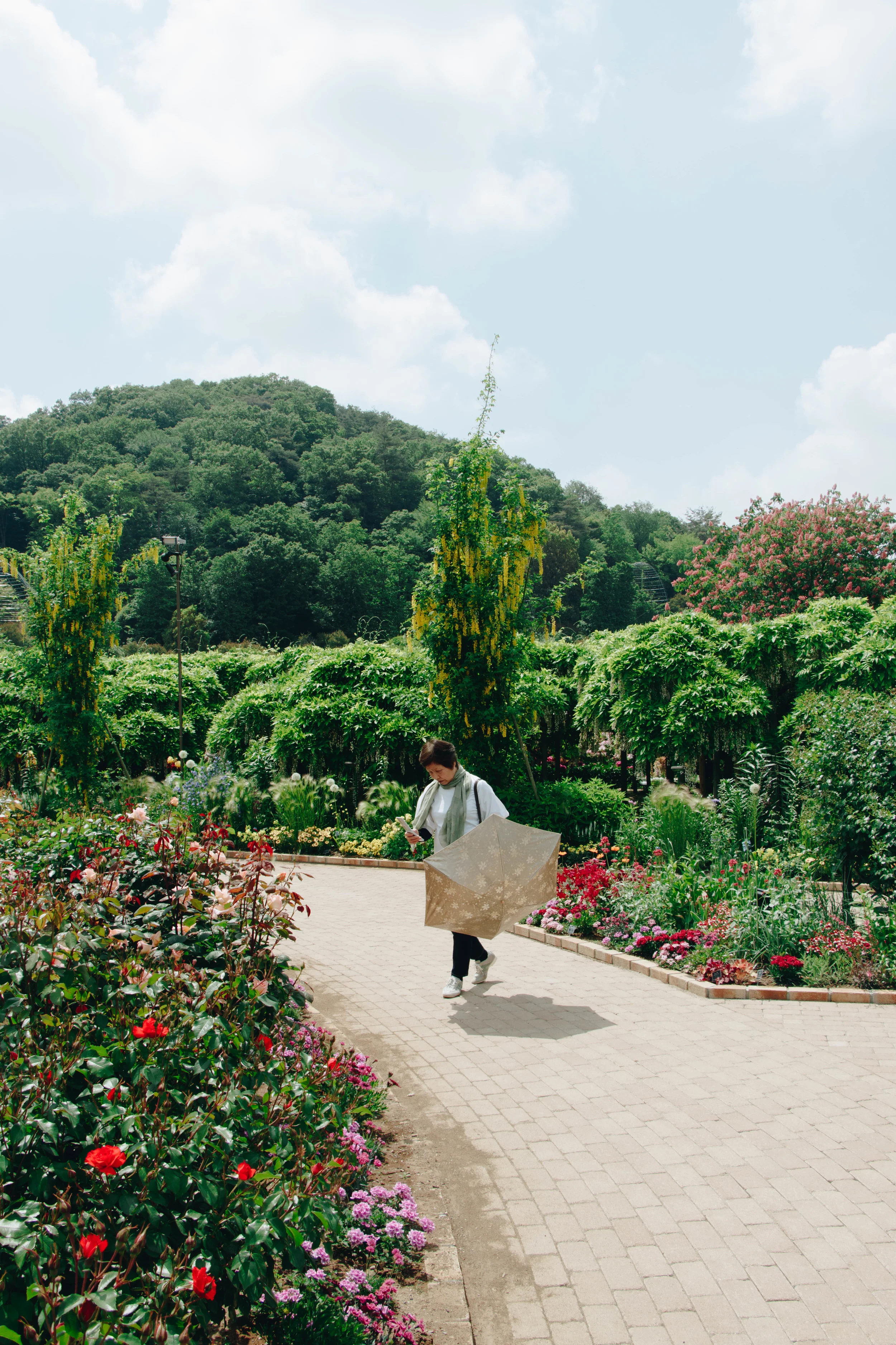 20190514-IMG_6079-3.jpg