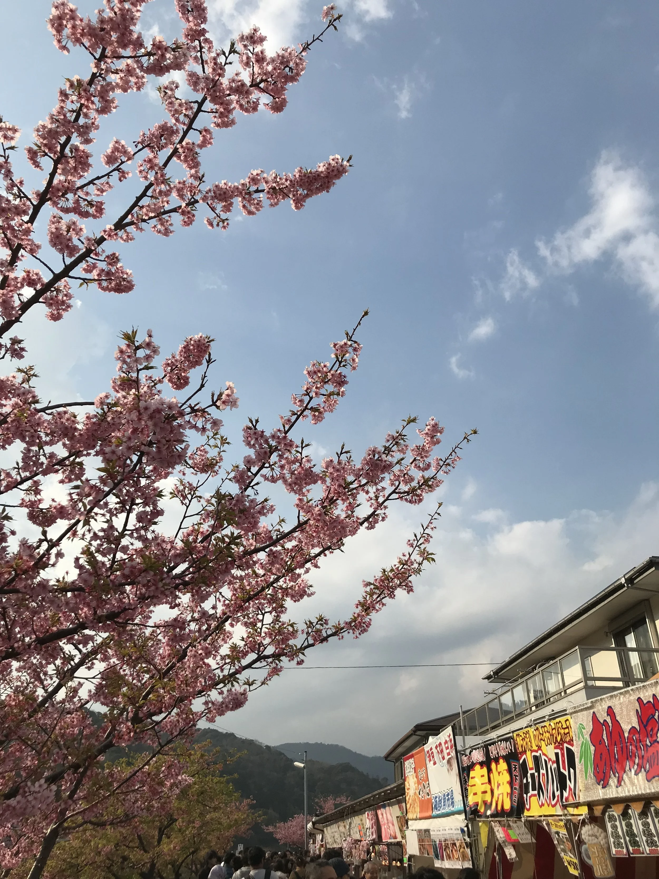 IMG_8204.jpeg