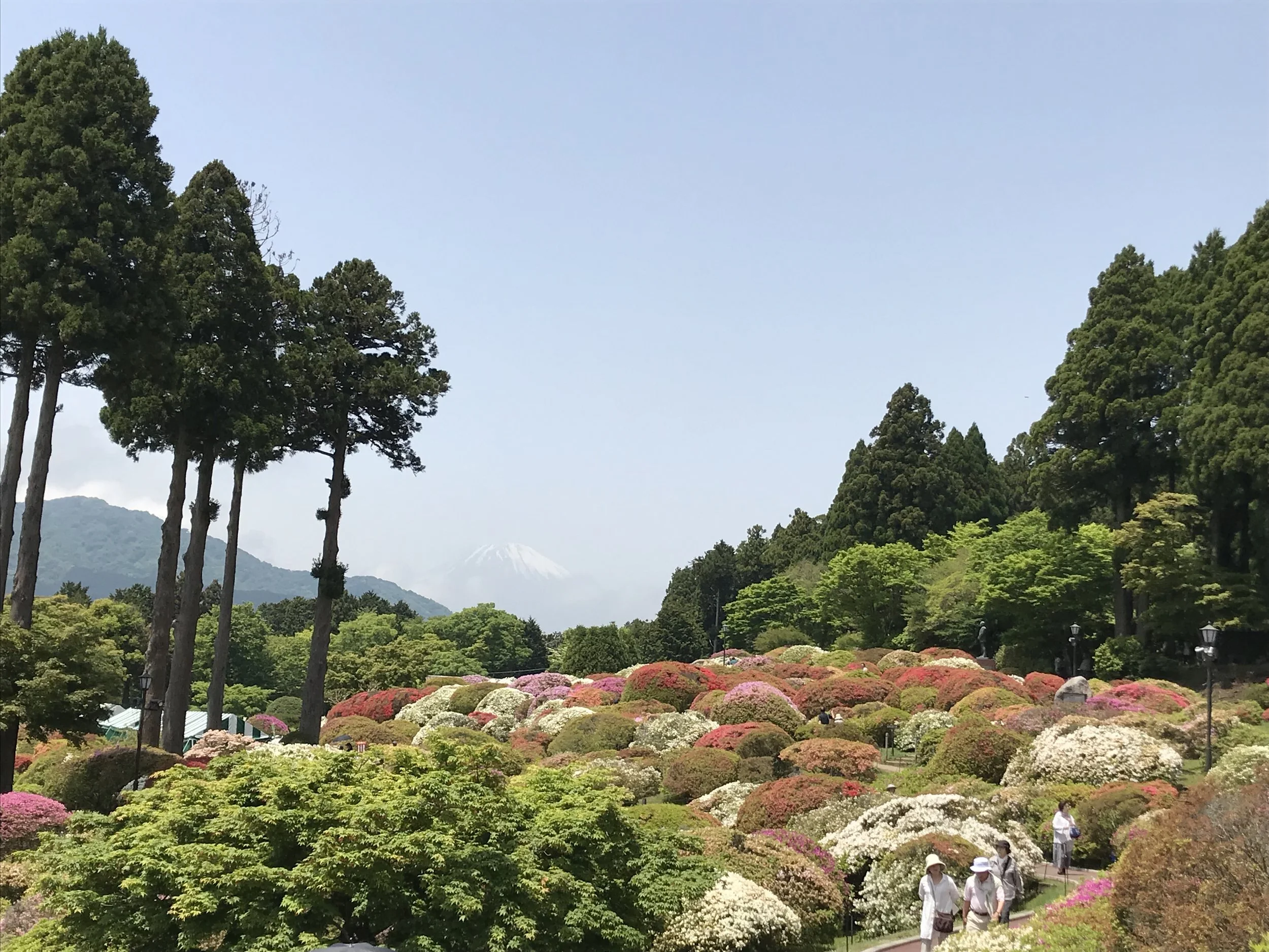 IMG_2773.jpeg