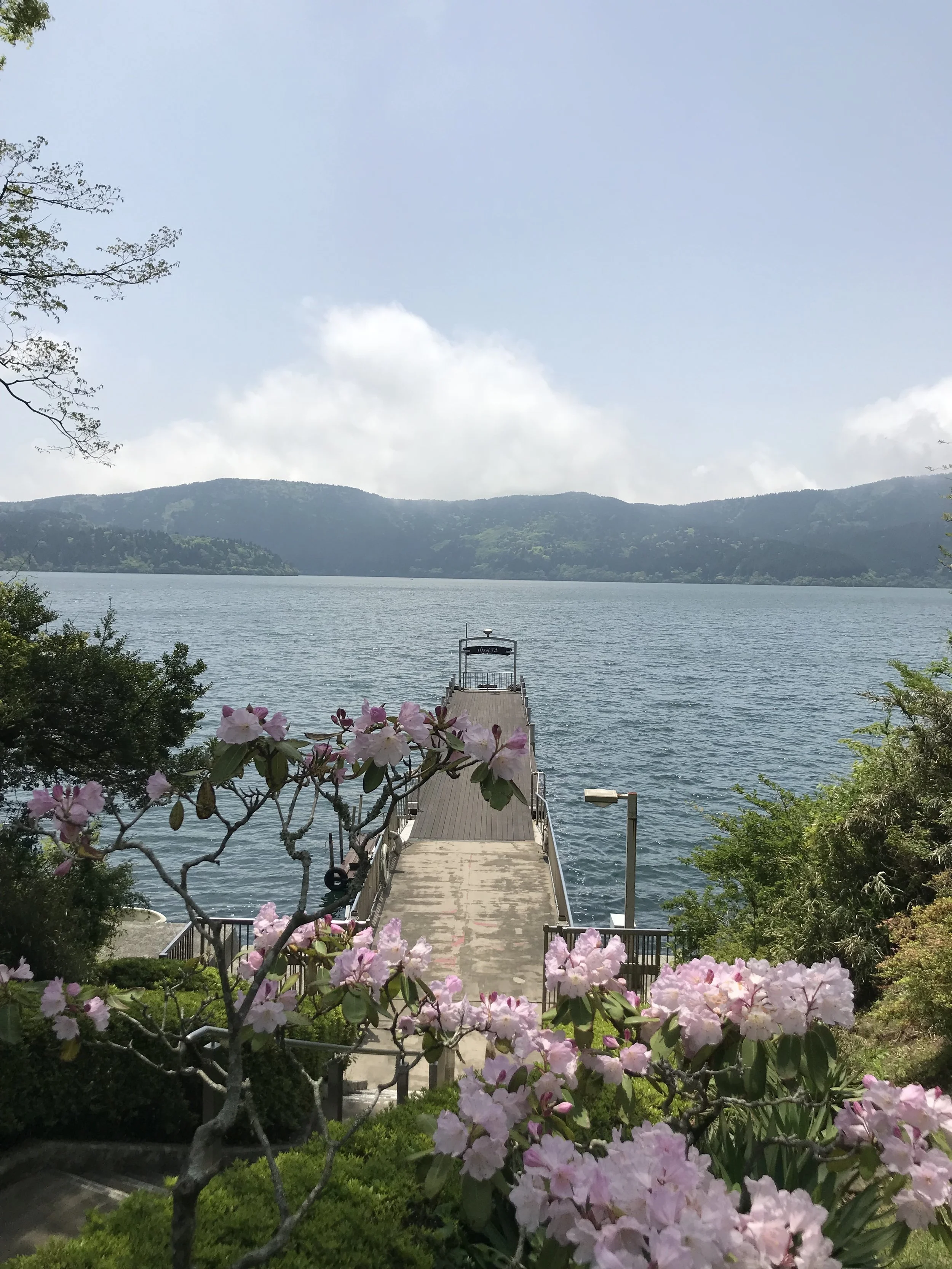 IMG_2793.jpeg