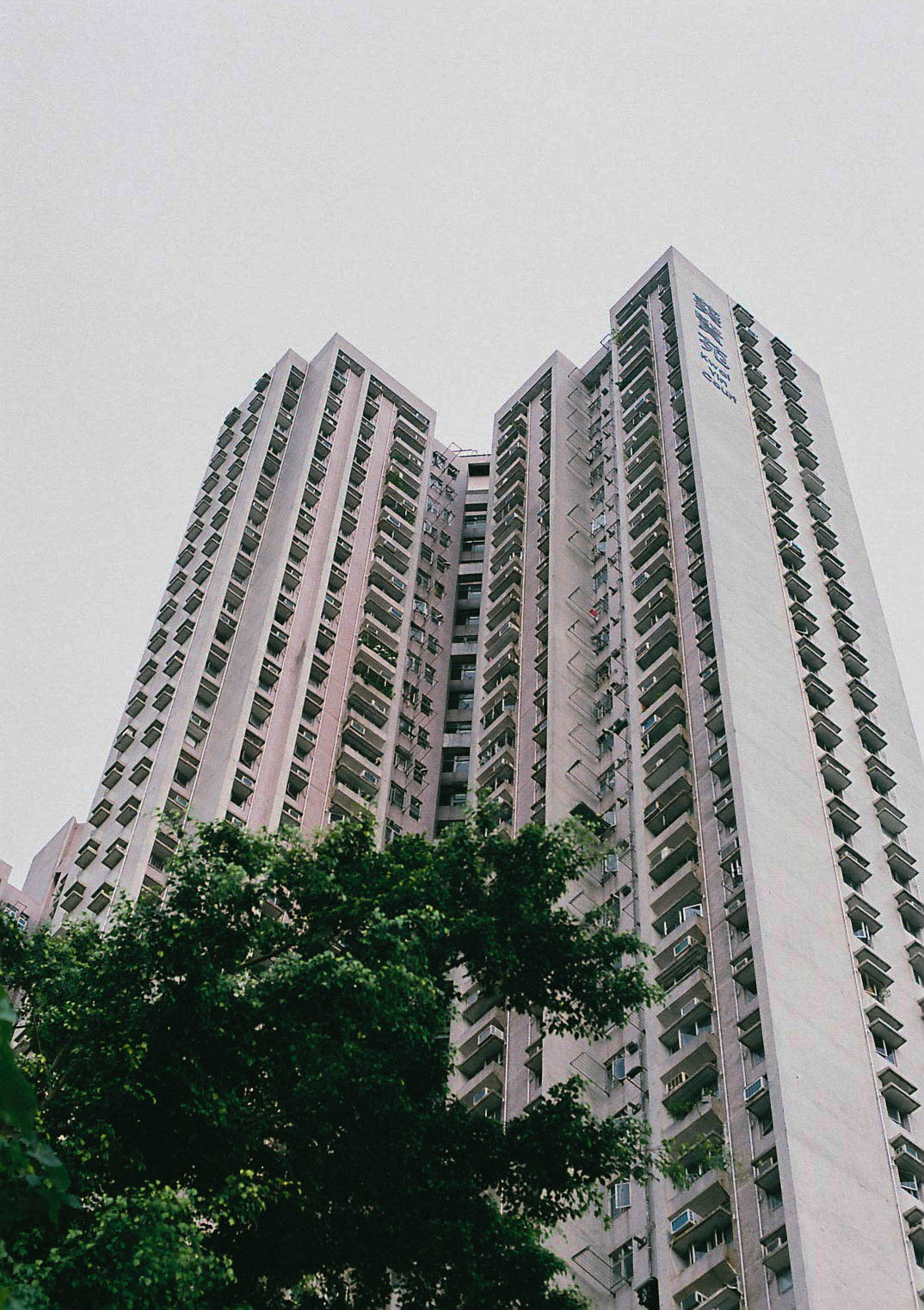 20190625-000026.jpg