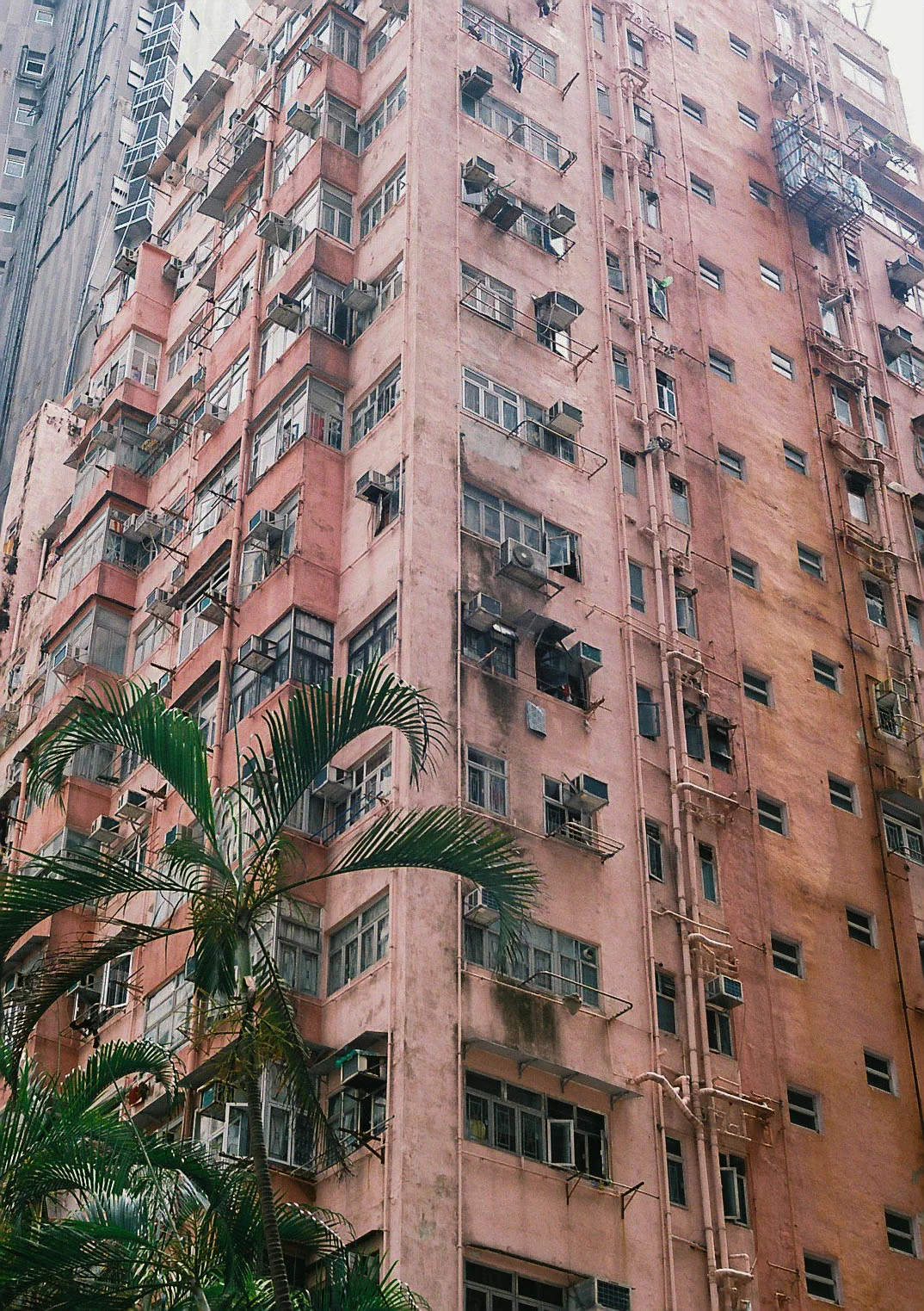 20190625-000032.jpg