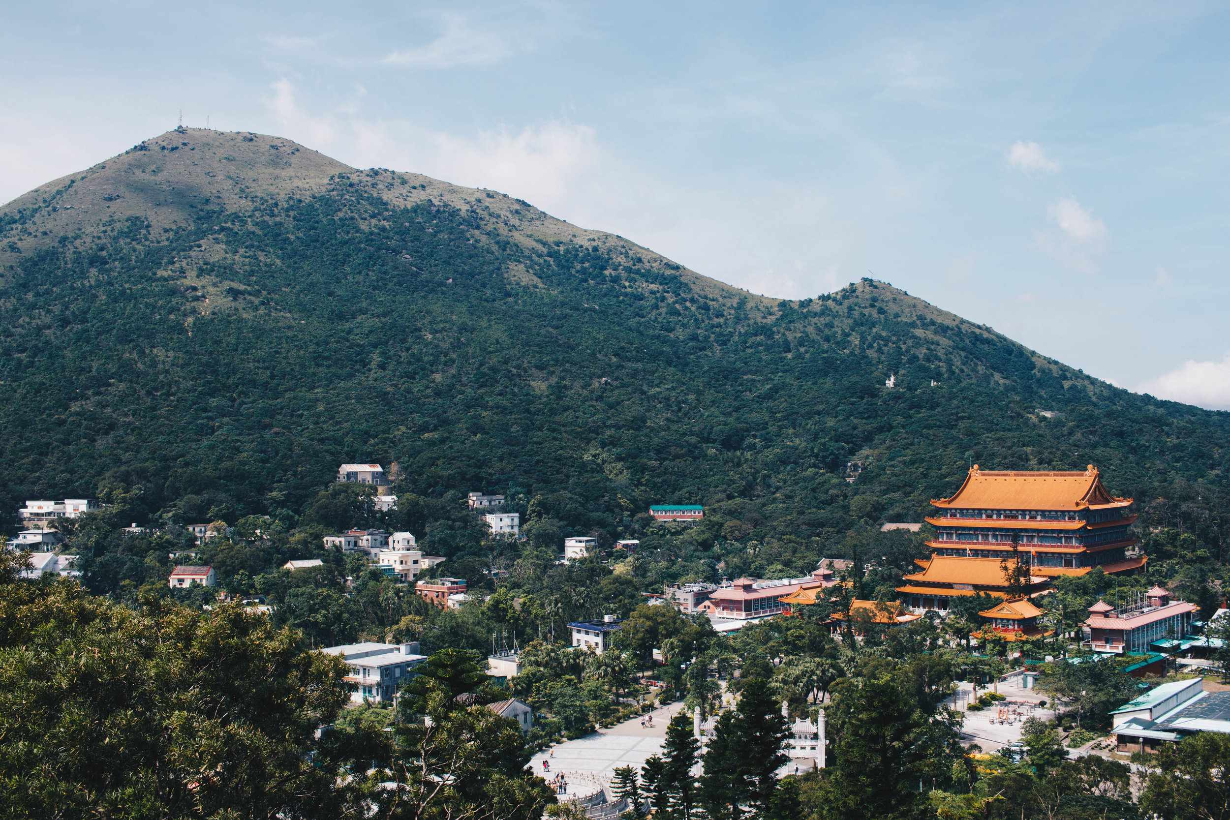20190616-IMG_6180.jpg