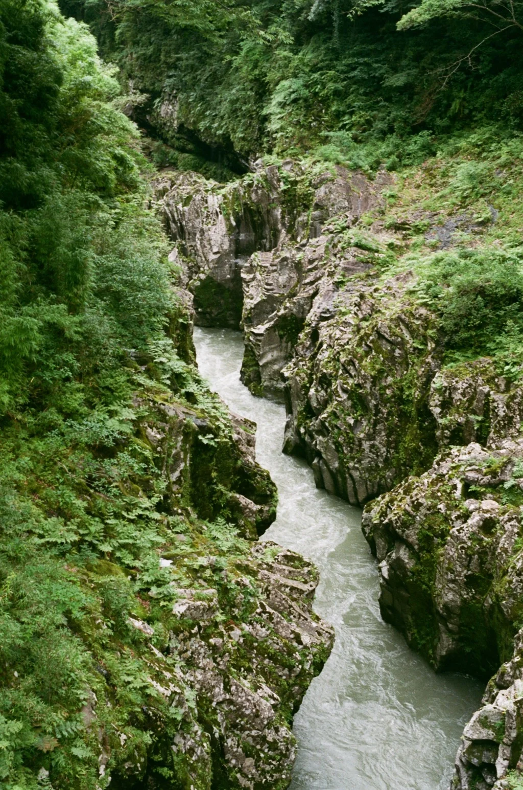 002677630006.jpg