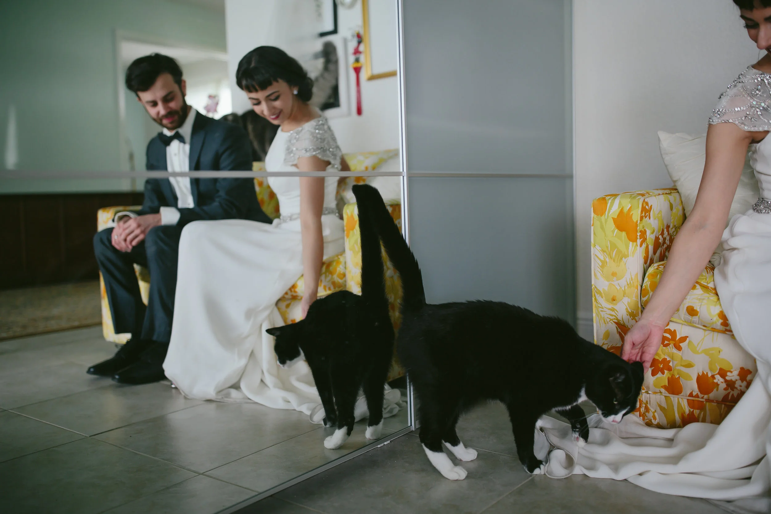 bride_and_groom_cats_in_home_session_wedding_fort_lauderdale_photographer_steph_lynn_photo-23.jpg